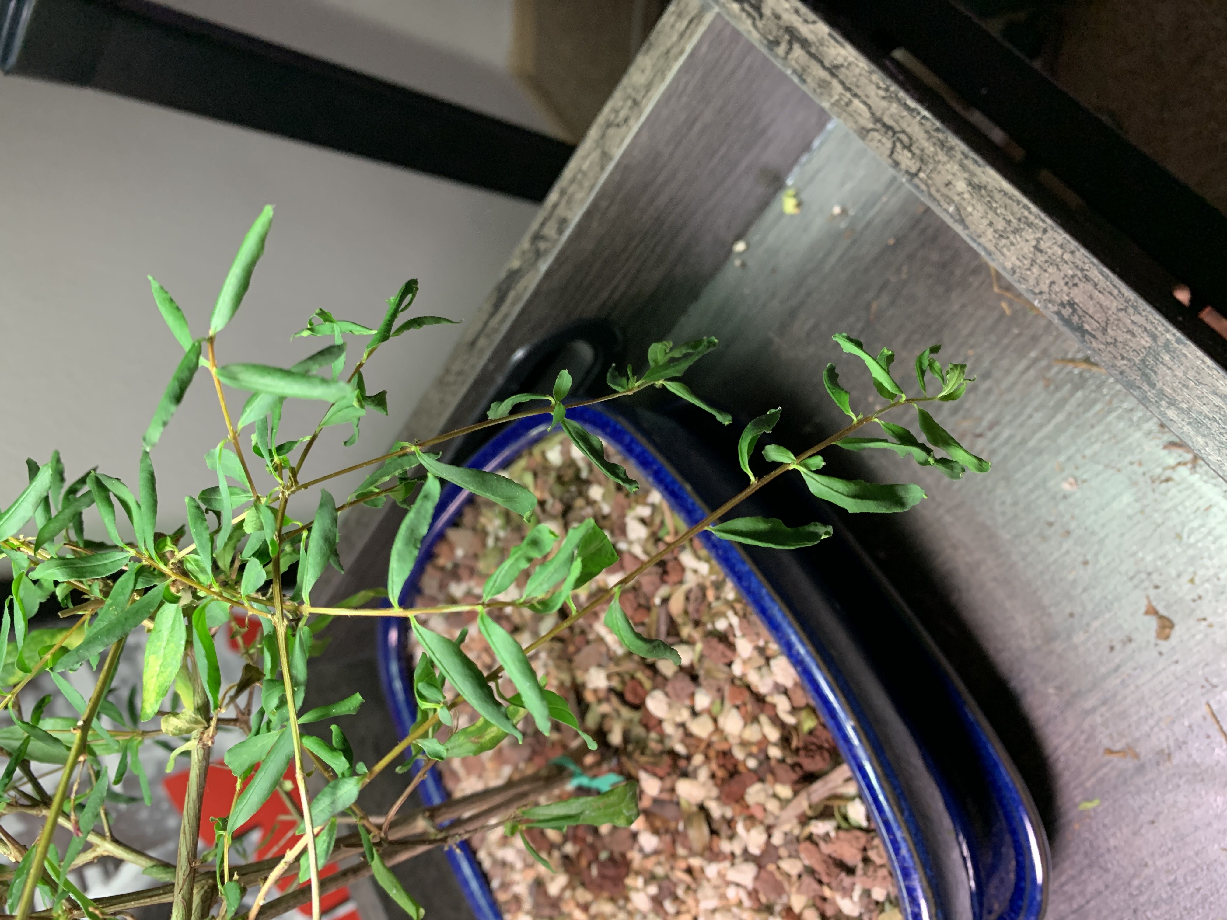 Photo from the post