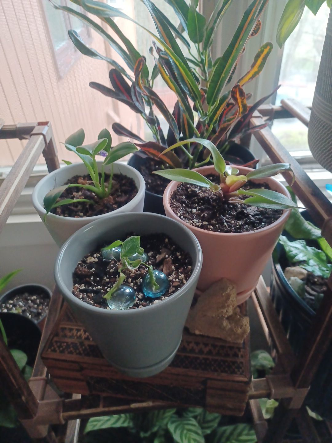 Photo from the post