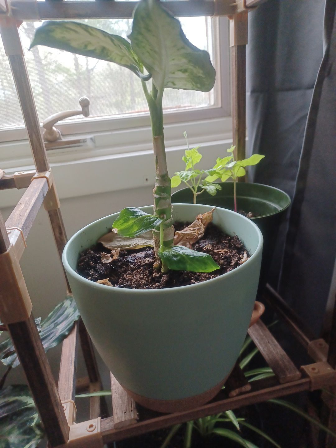 Photo from the post