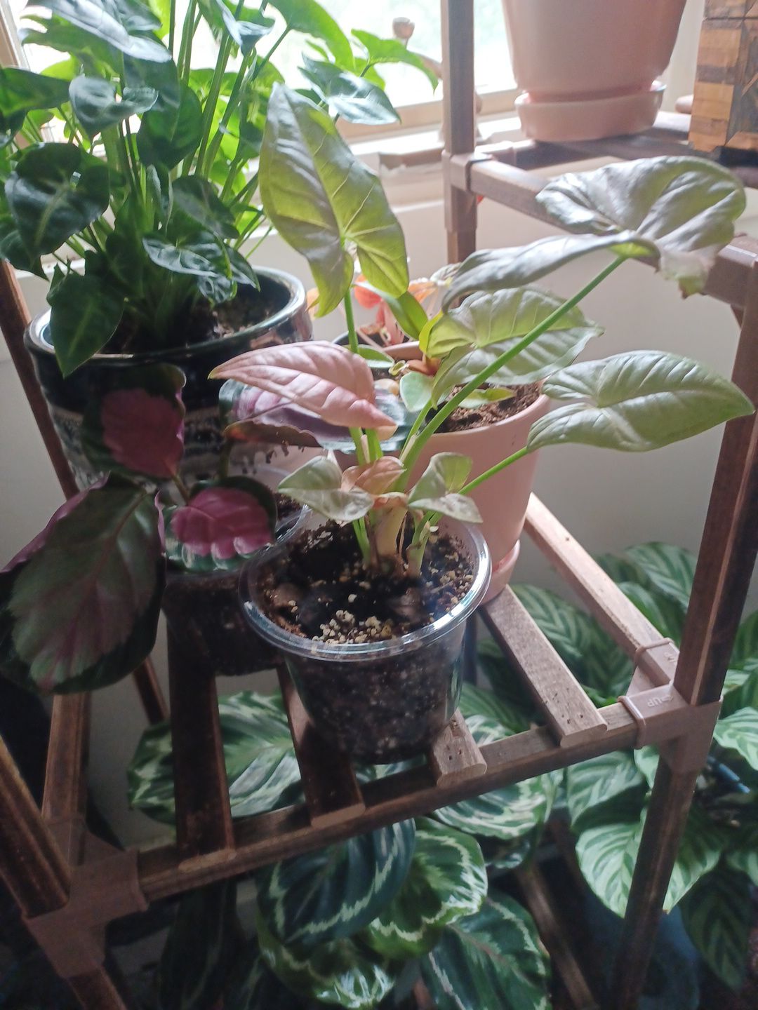 Photo from the post