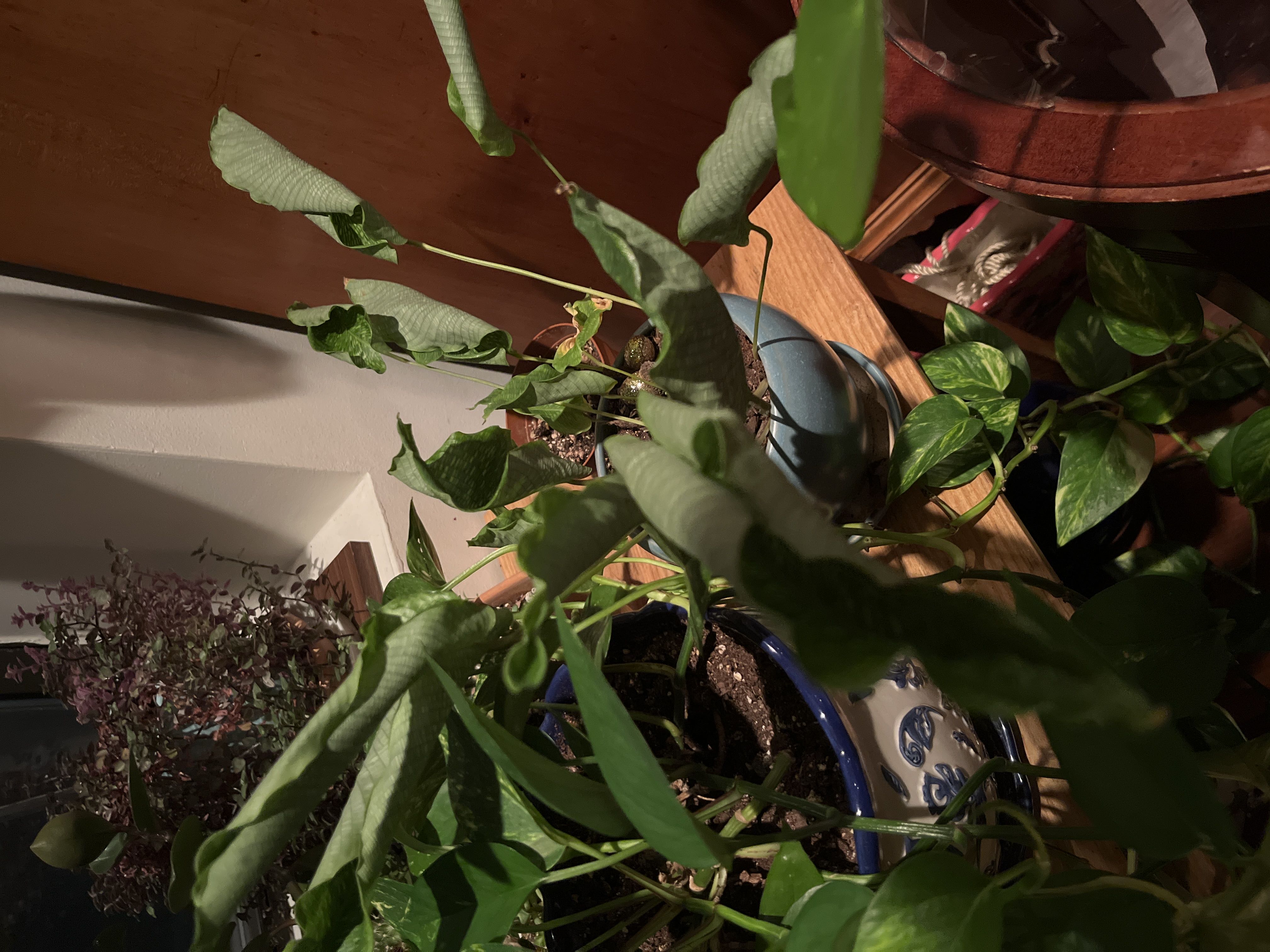 Photo from the post