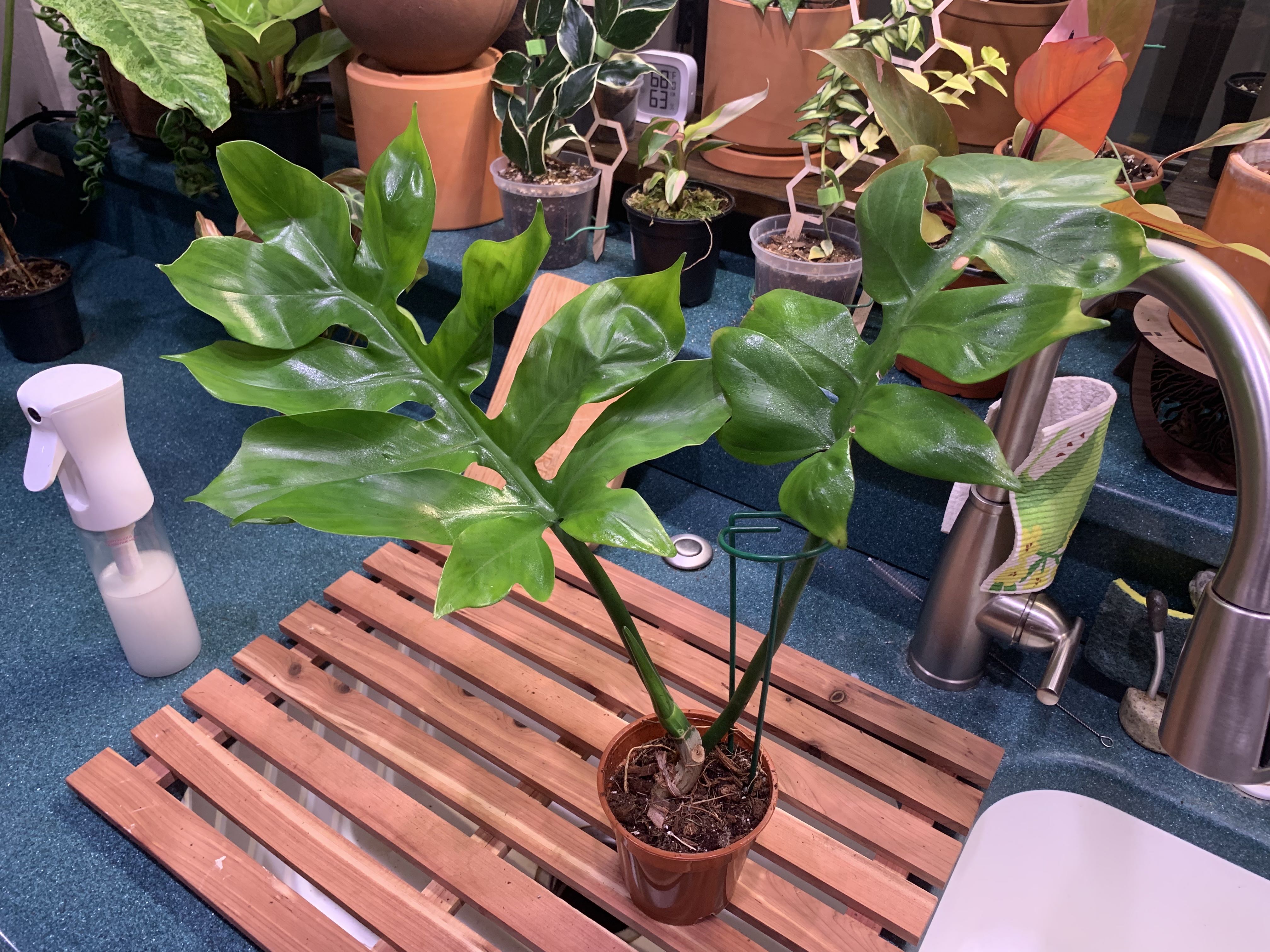 Photo from the post