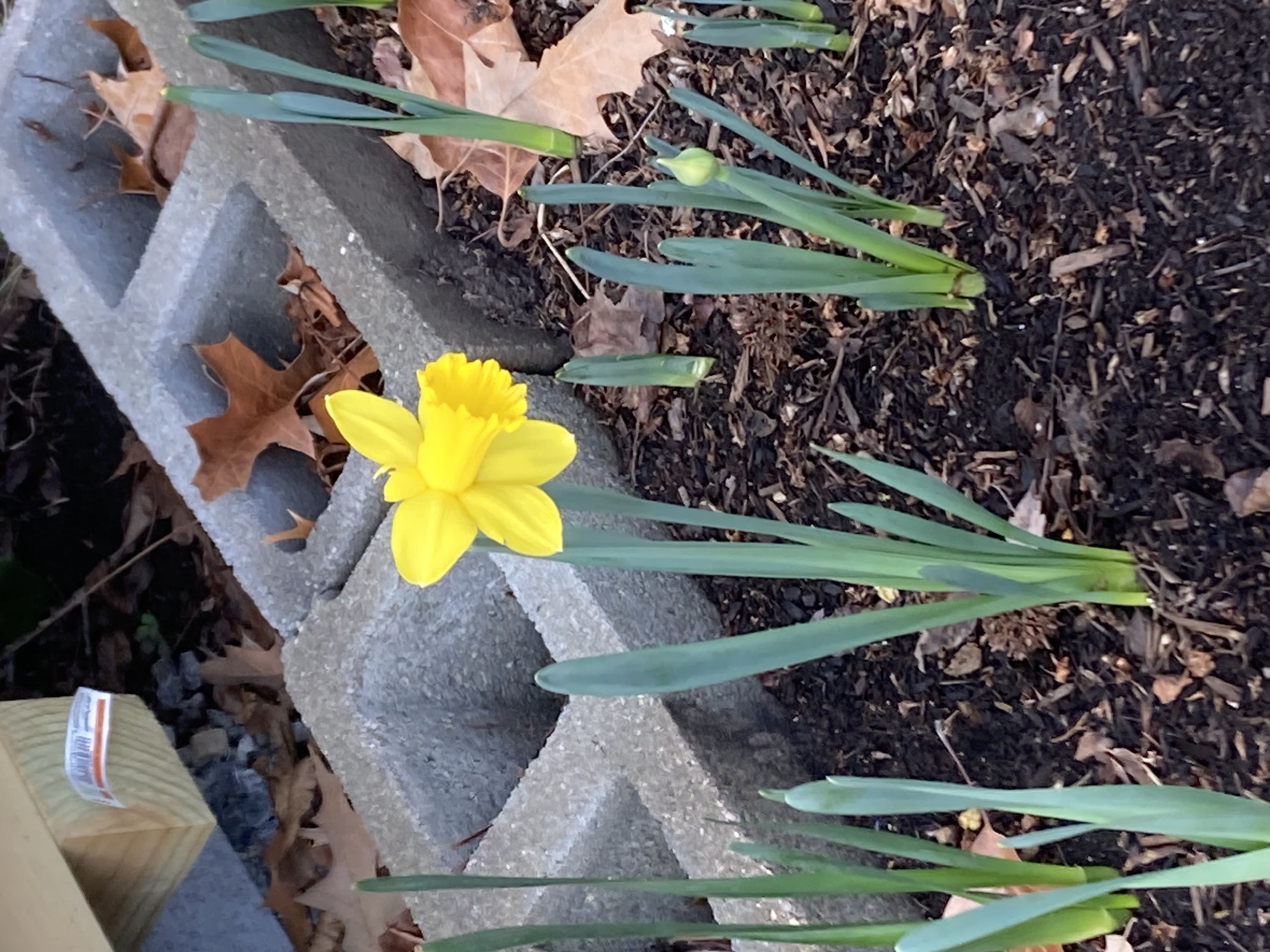 Photo from the post