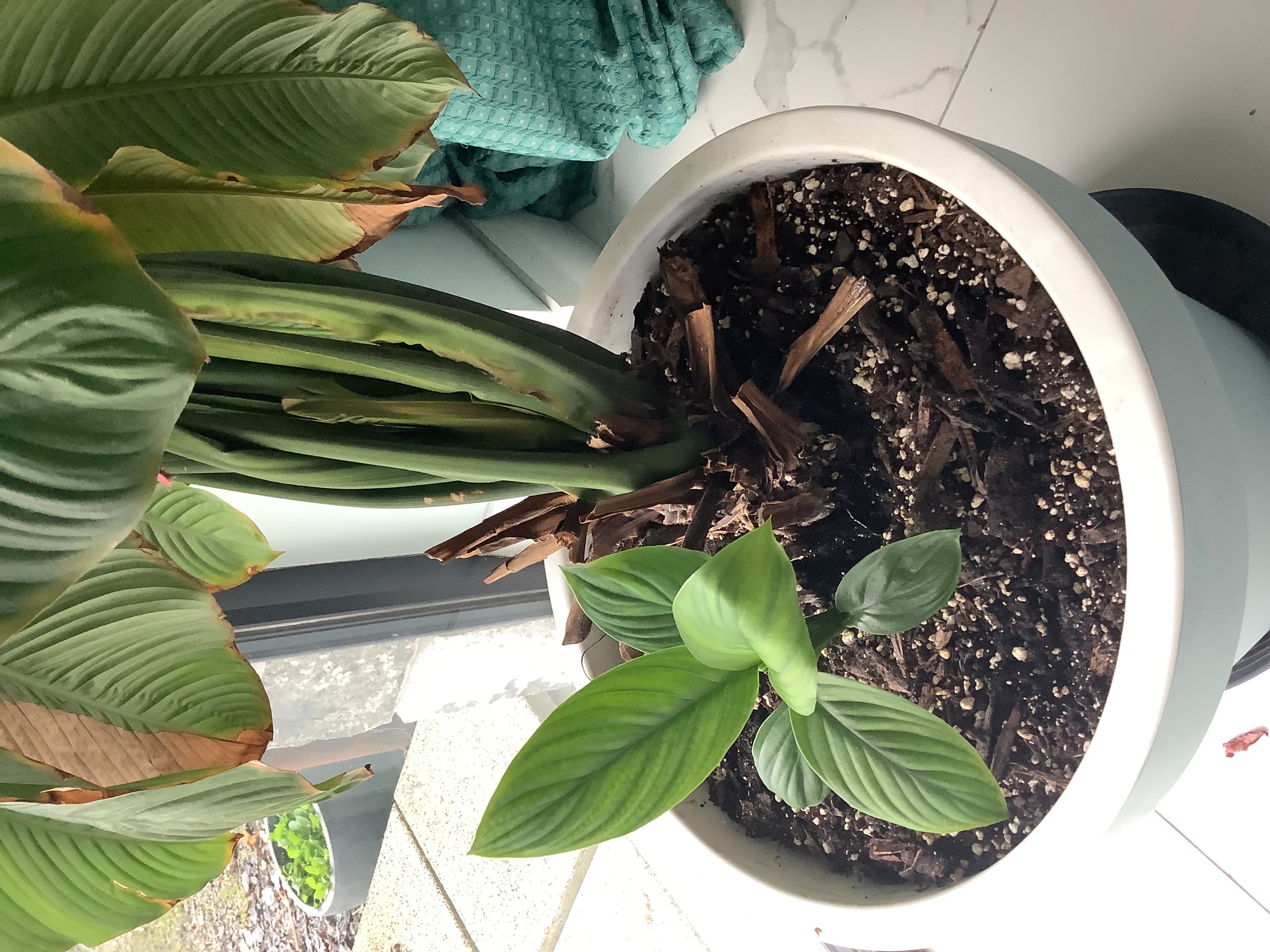 Photo from the post