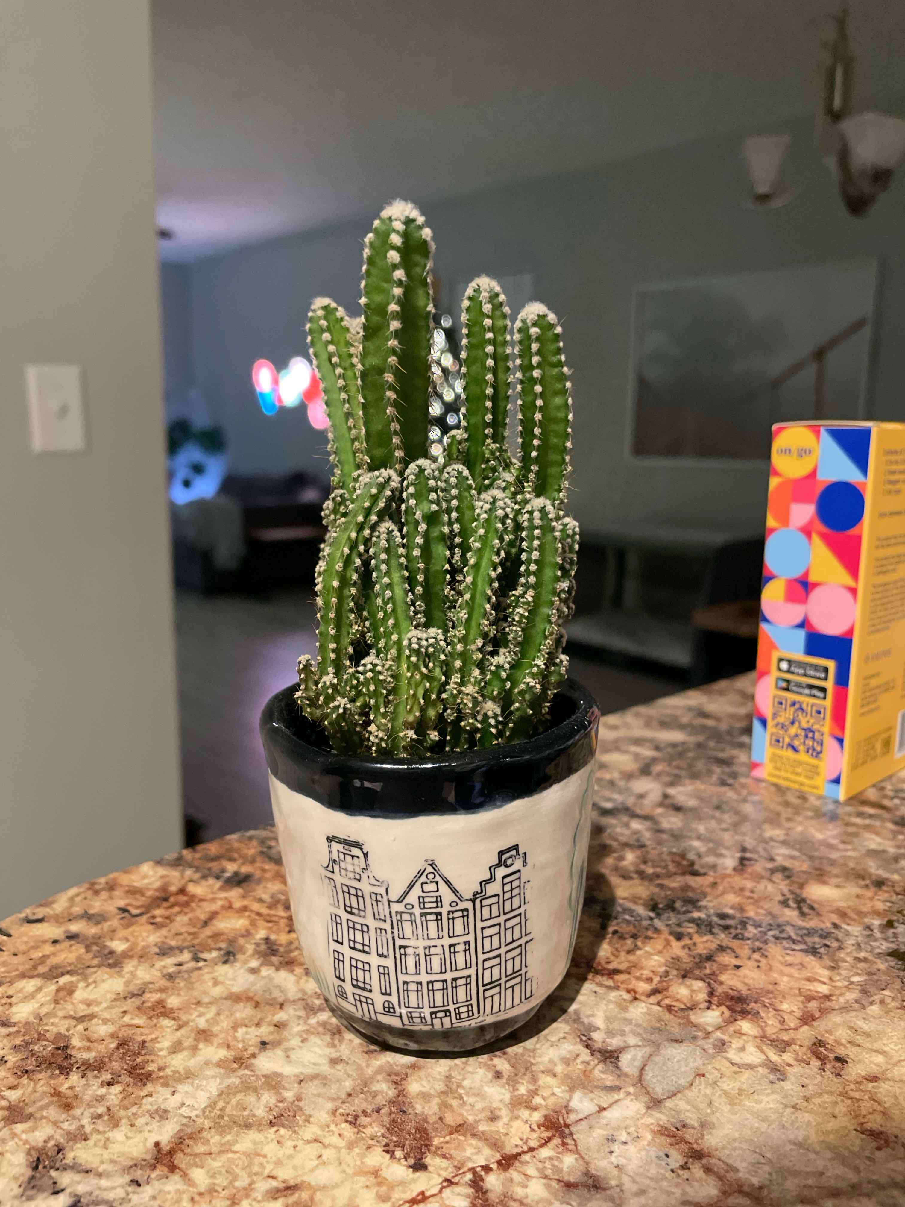 Plant care for Hibiscus on Greg, the plant care app