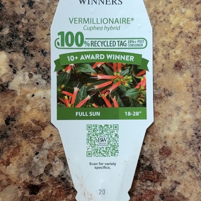 Photo of the plant species Vermillionaire® Firecracker Plant by @brianhollings named Marley on Greg, the plant care app