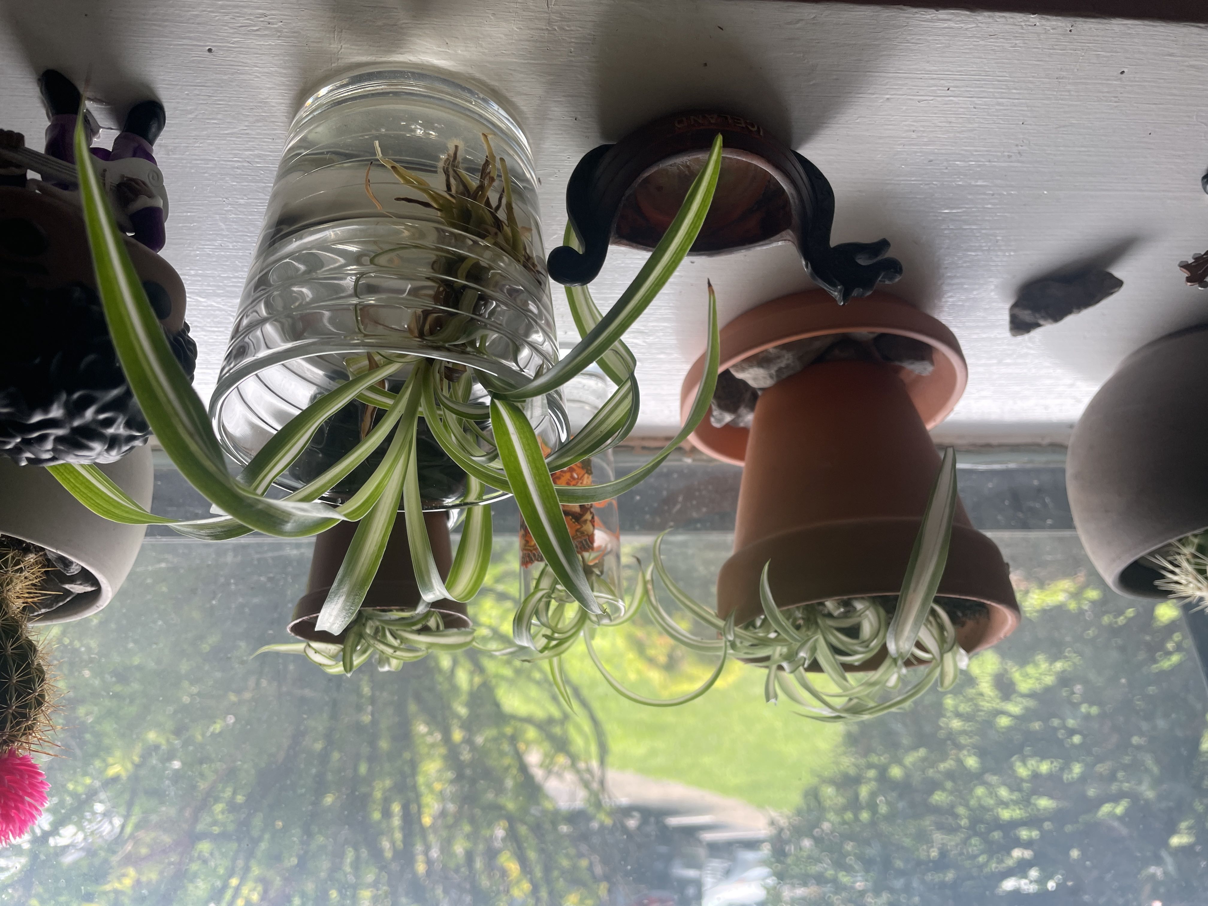 Photo from the post