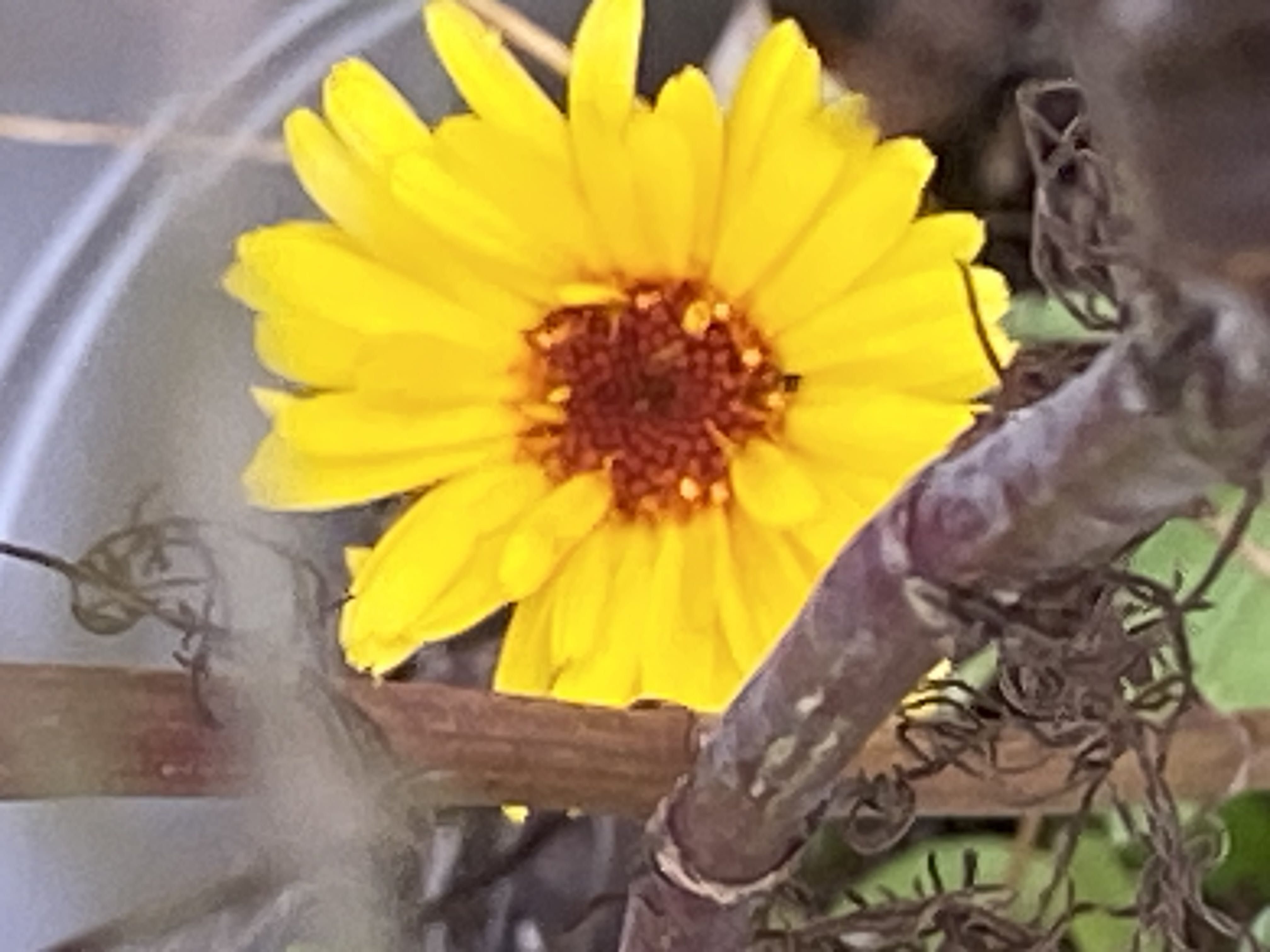 Photo from the post