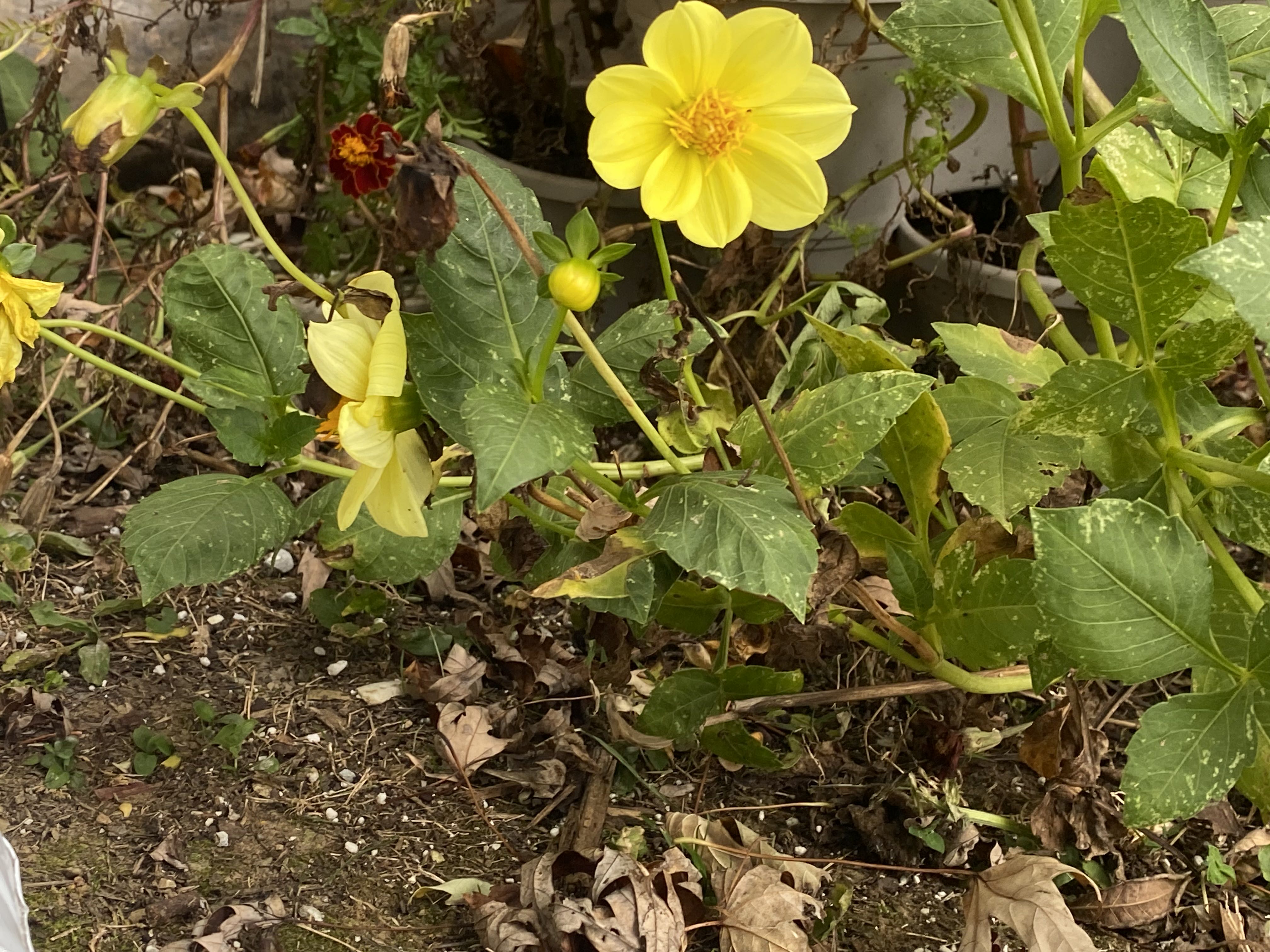 Photo from the post