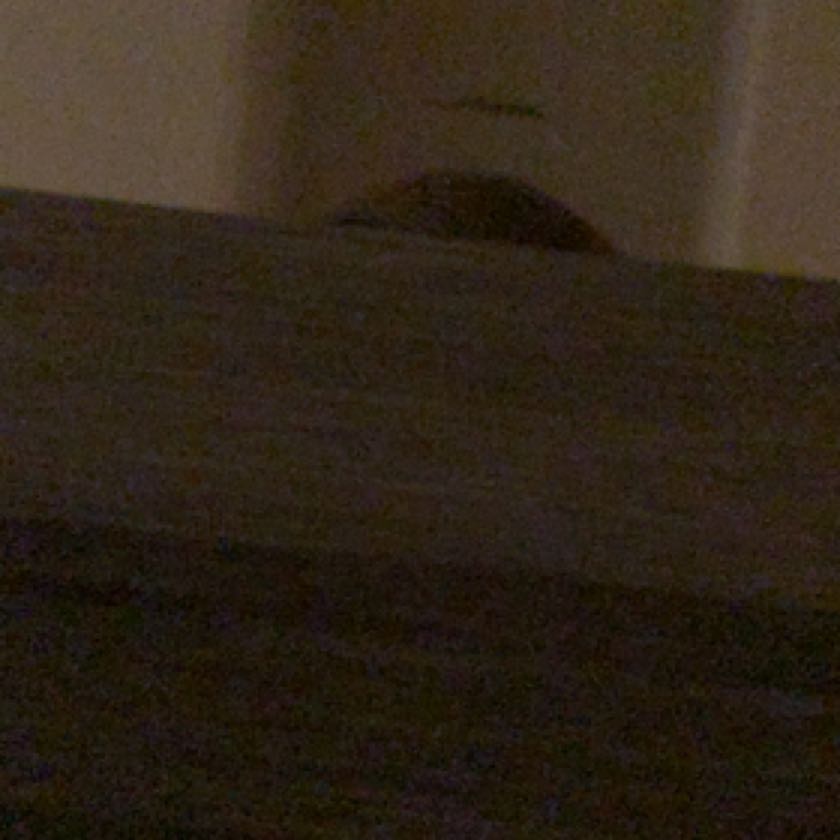 Plant care for Water Spangles on Greg, the plant care app