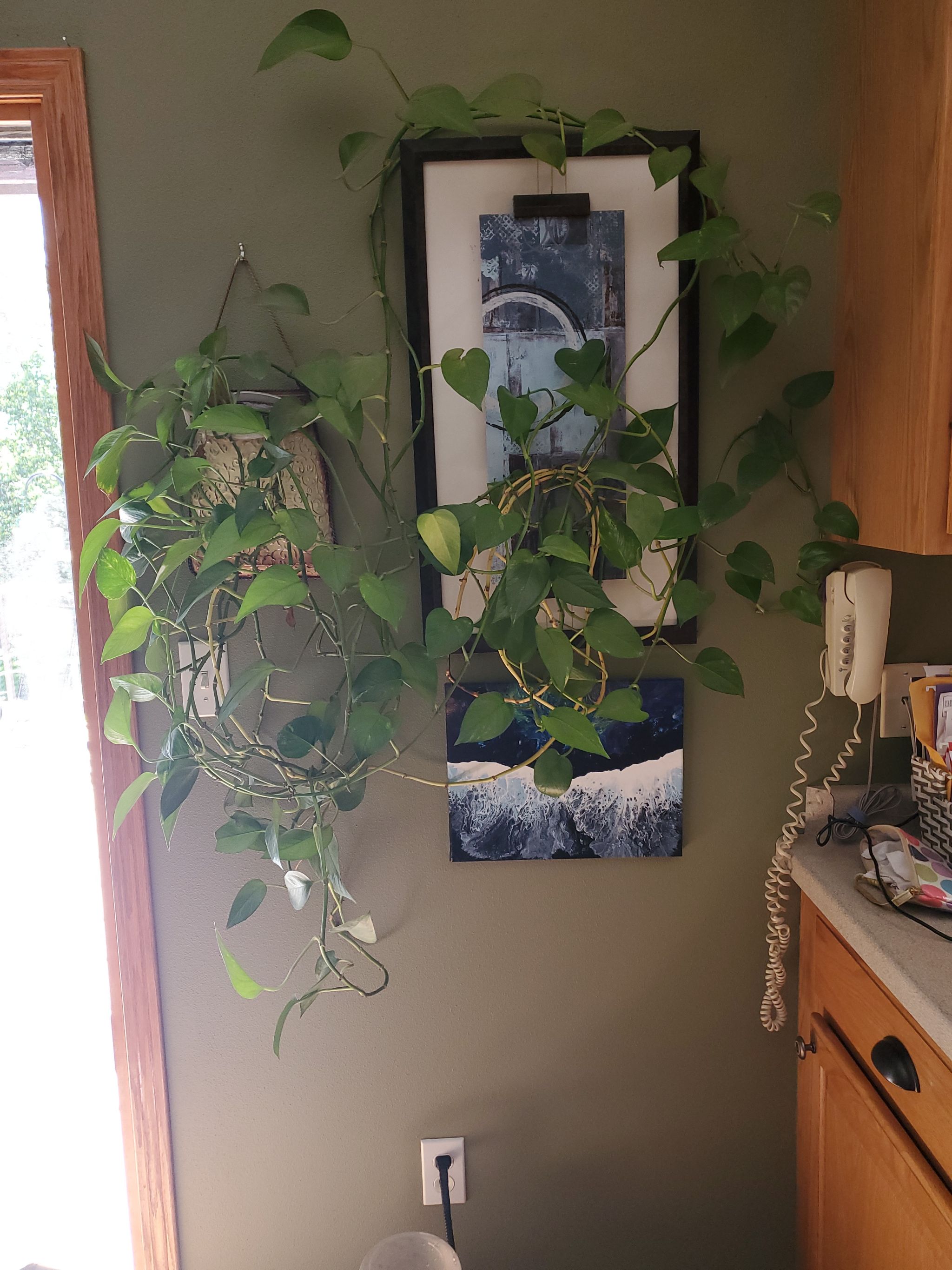 Photo from the post
