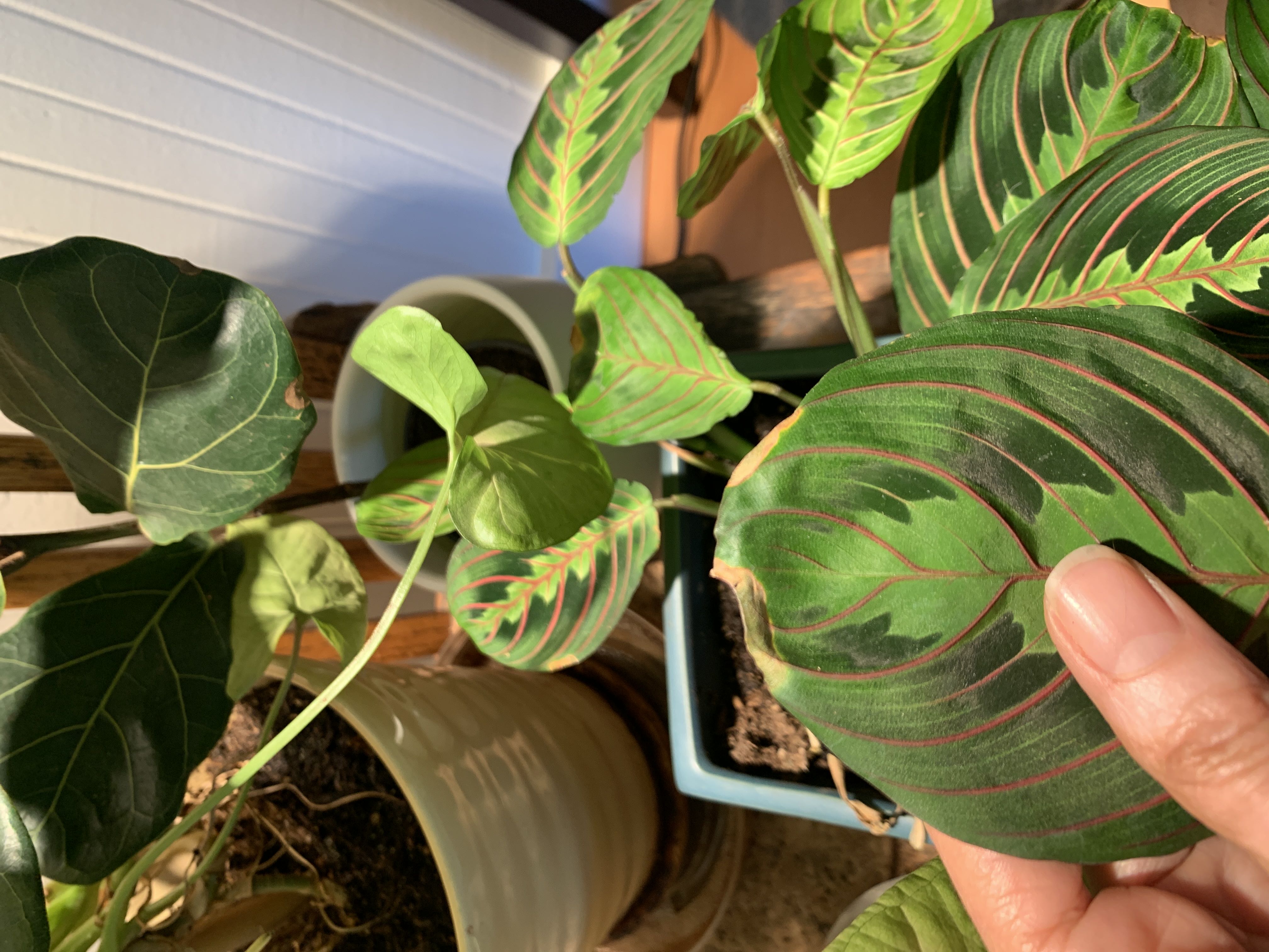 Photo from the post