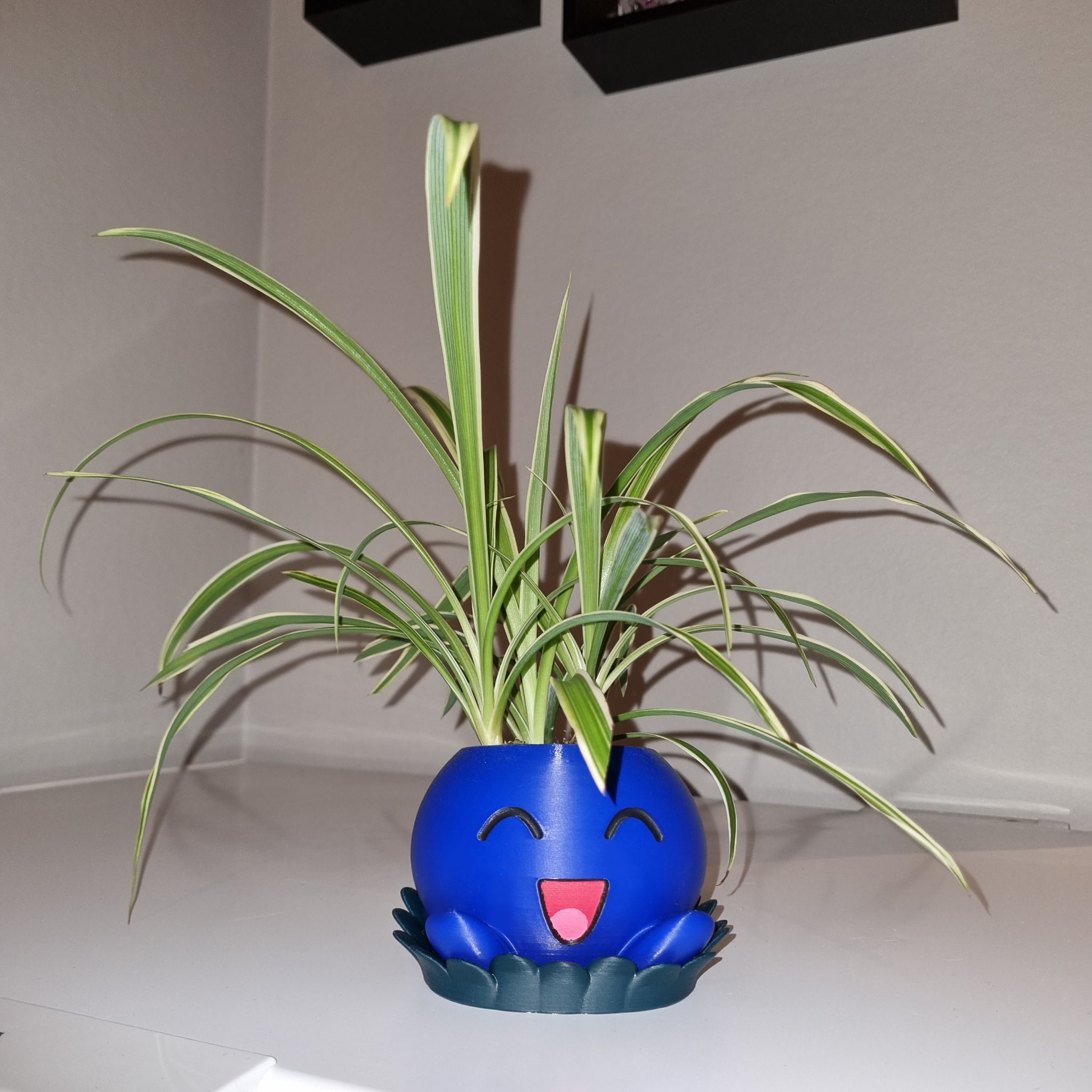 Photo of the plant species Spider Plant 'Reverse' by @MockingJay named Ch. Gobi on Greg, the plant care app