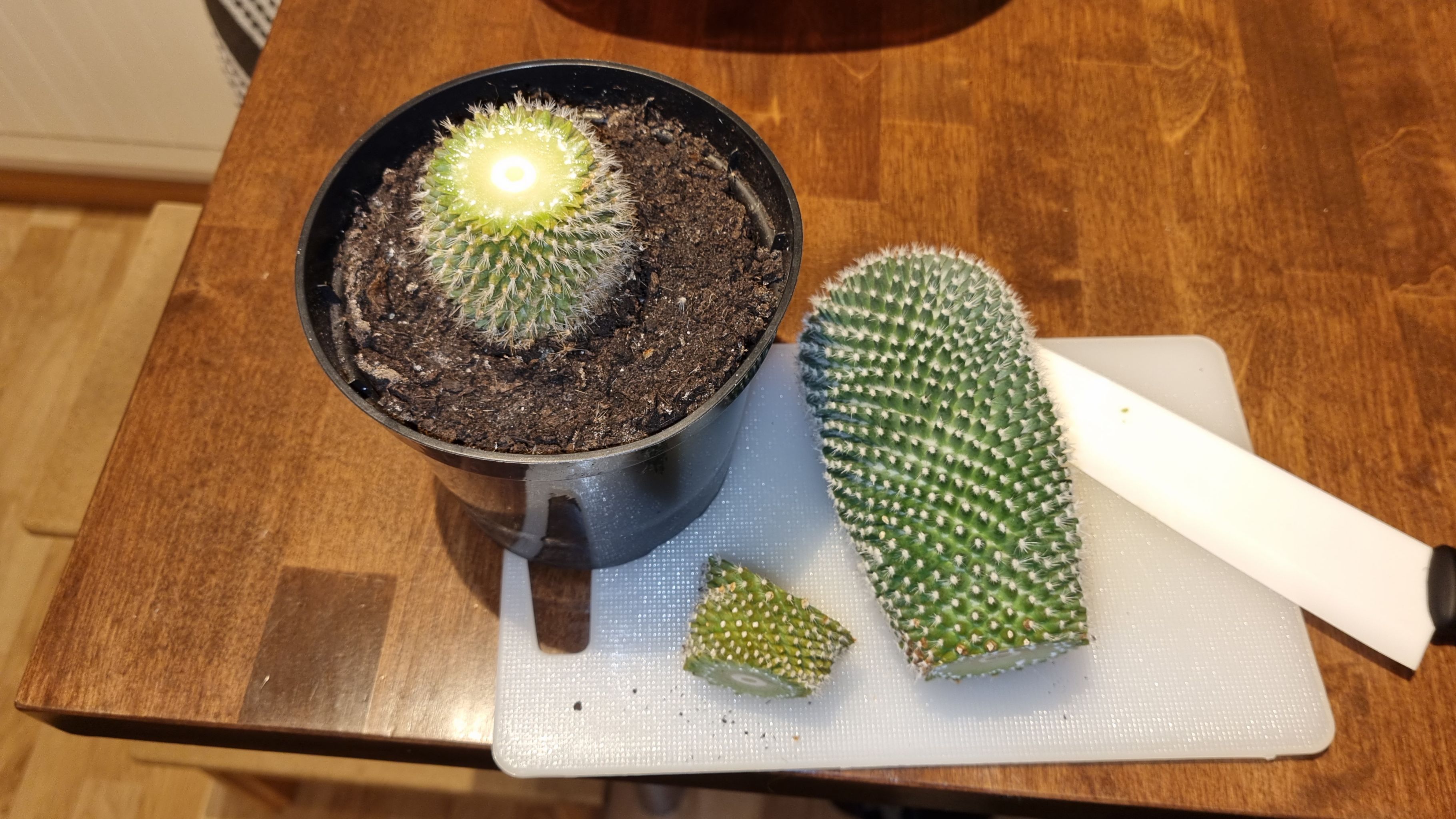 Photo from the post