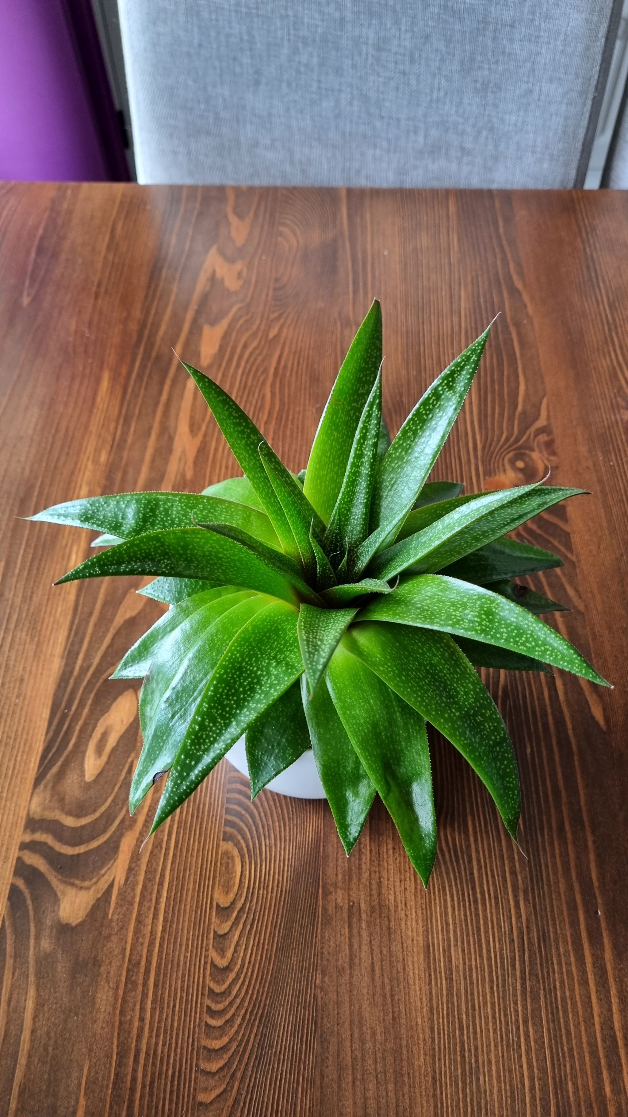 Photo from the post