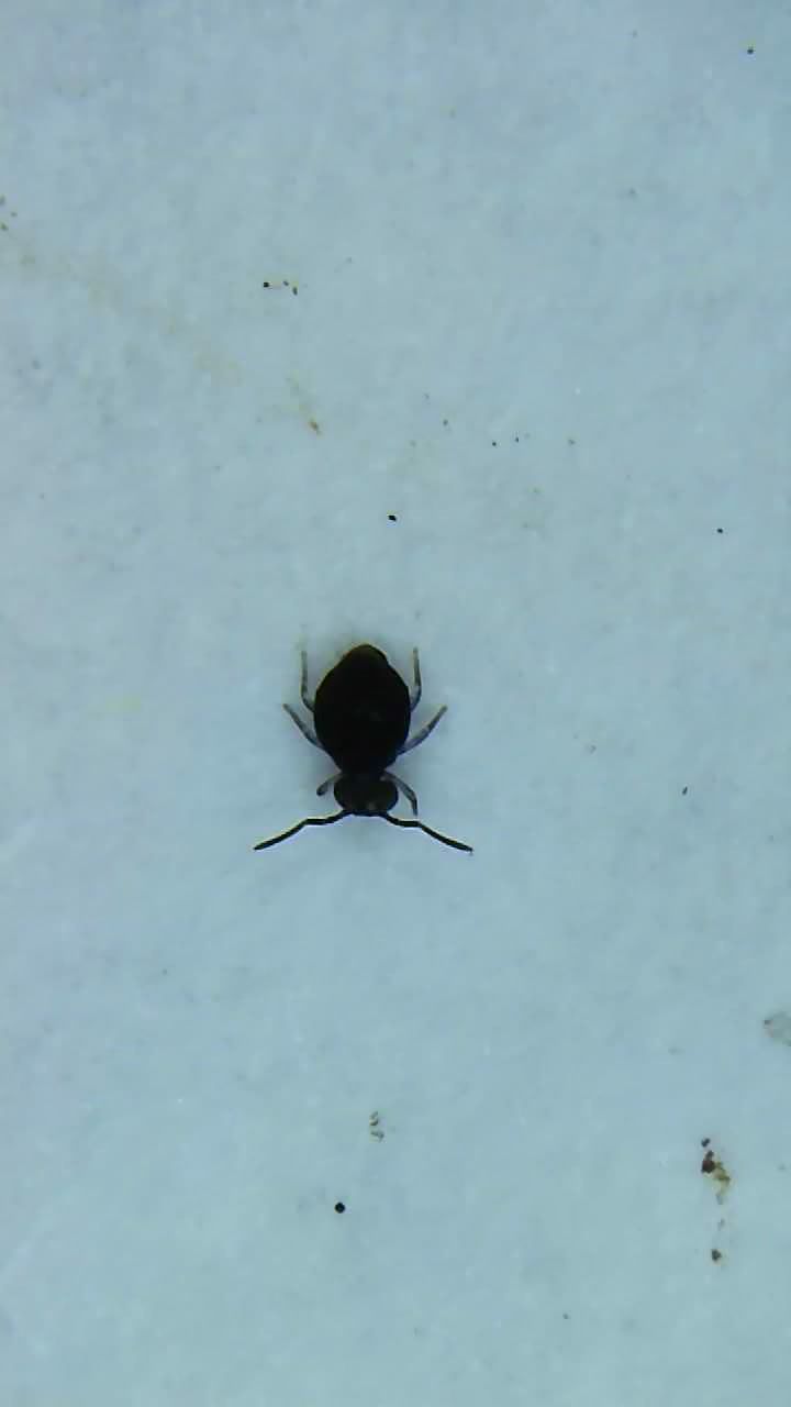 Photo from the post