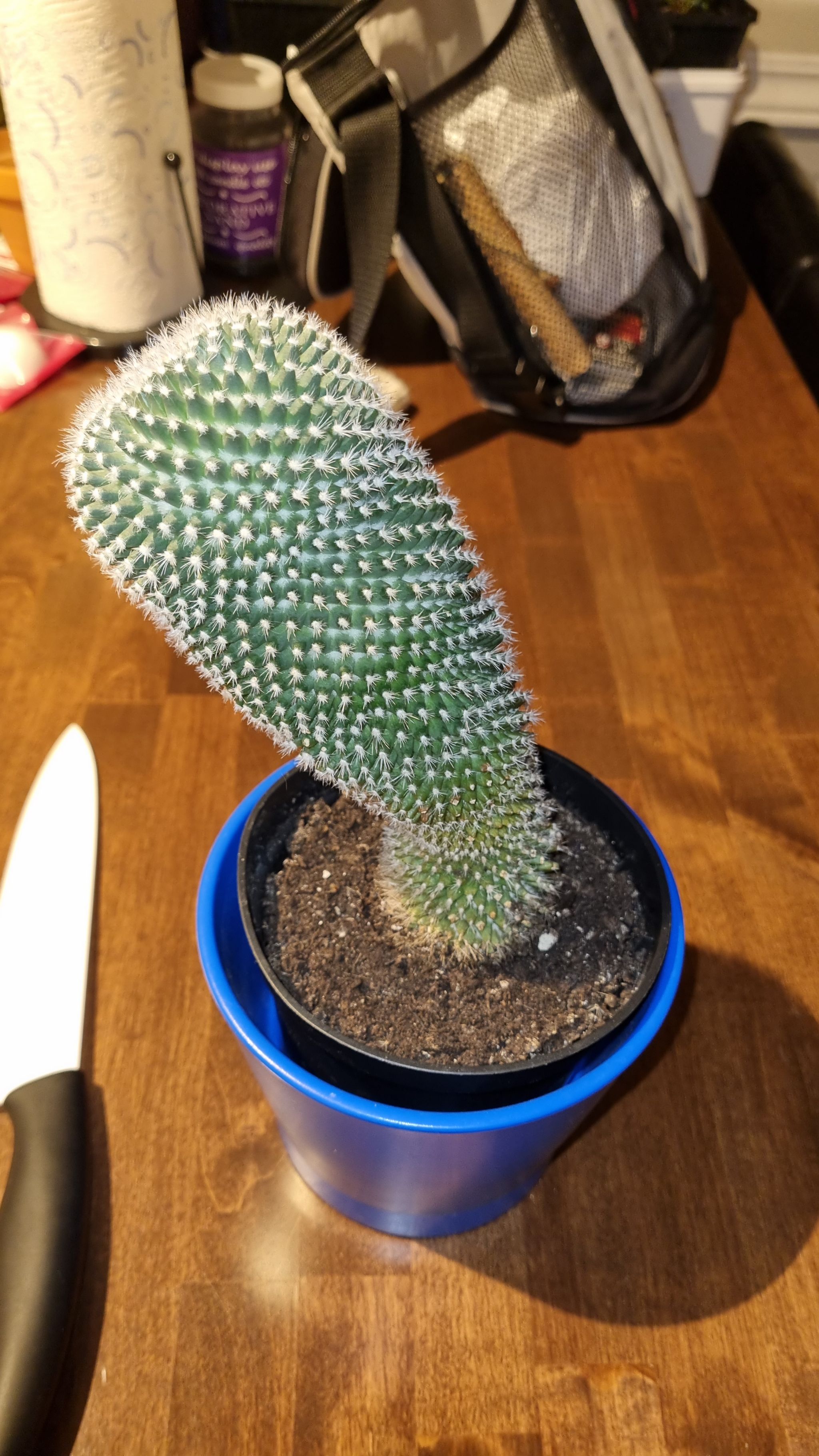 Photo from the post