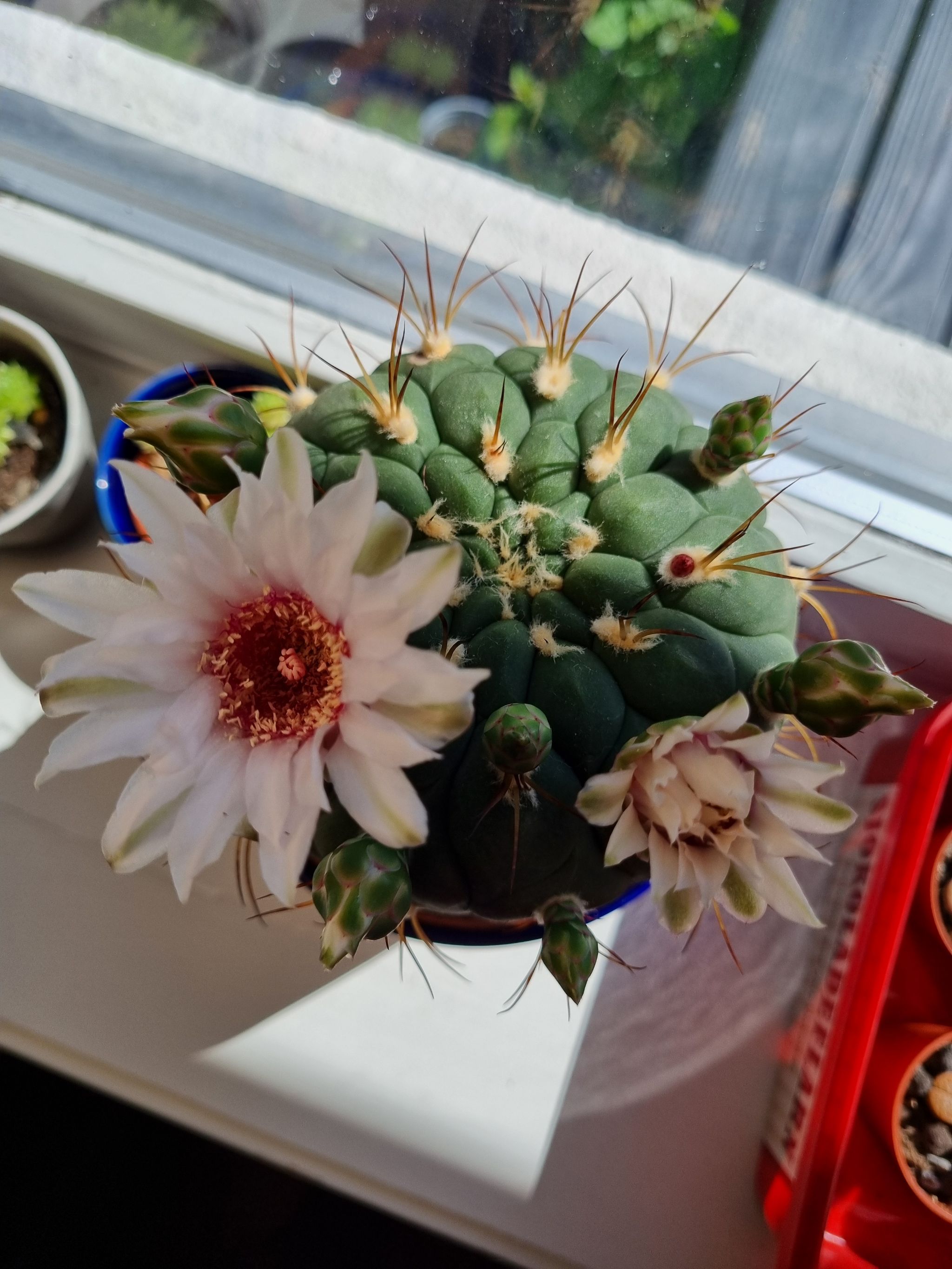 Photo from the post