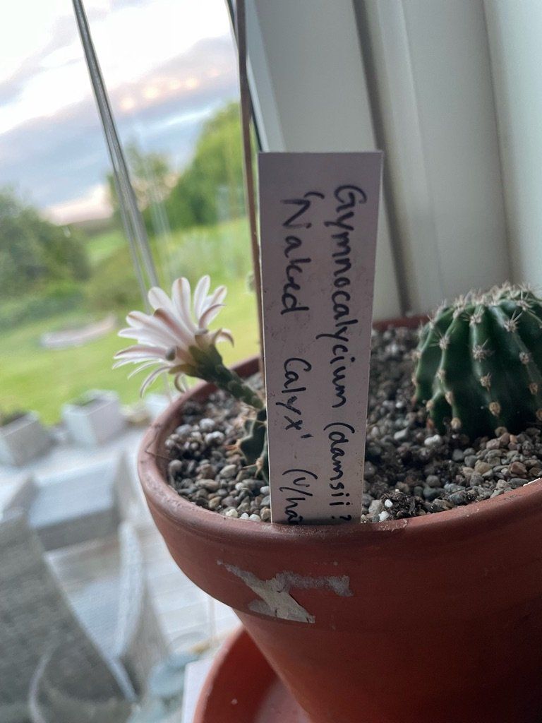 Photo from the post
