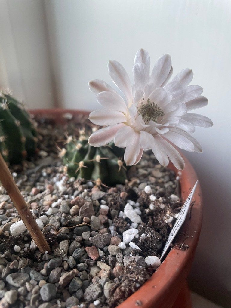 Photo from the post