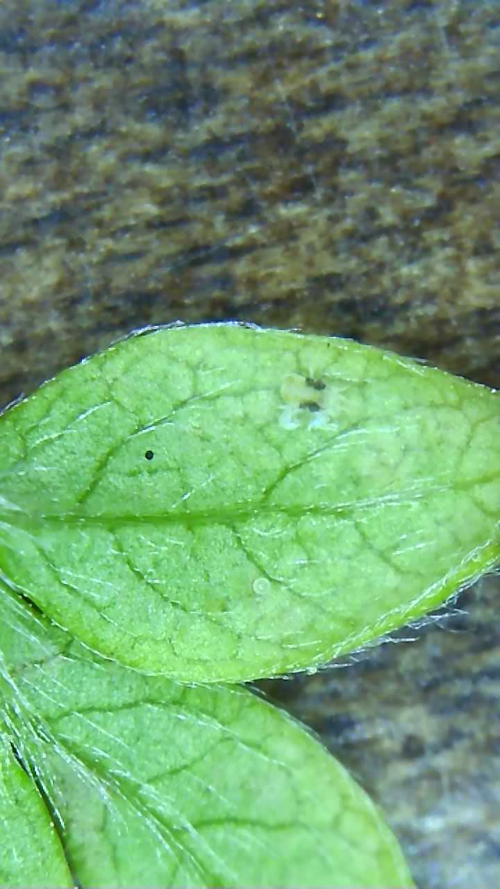 Photo from the post
