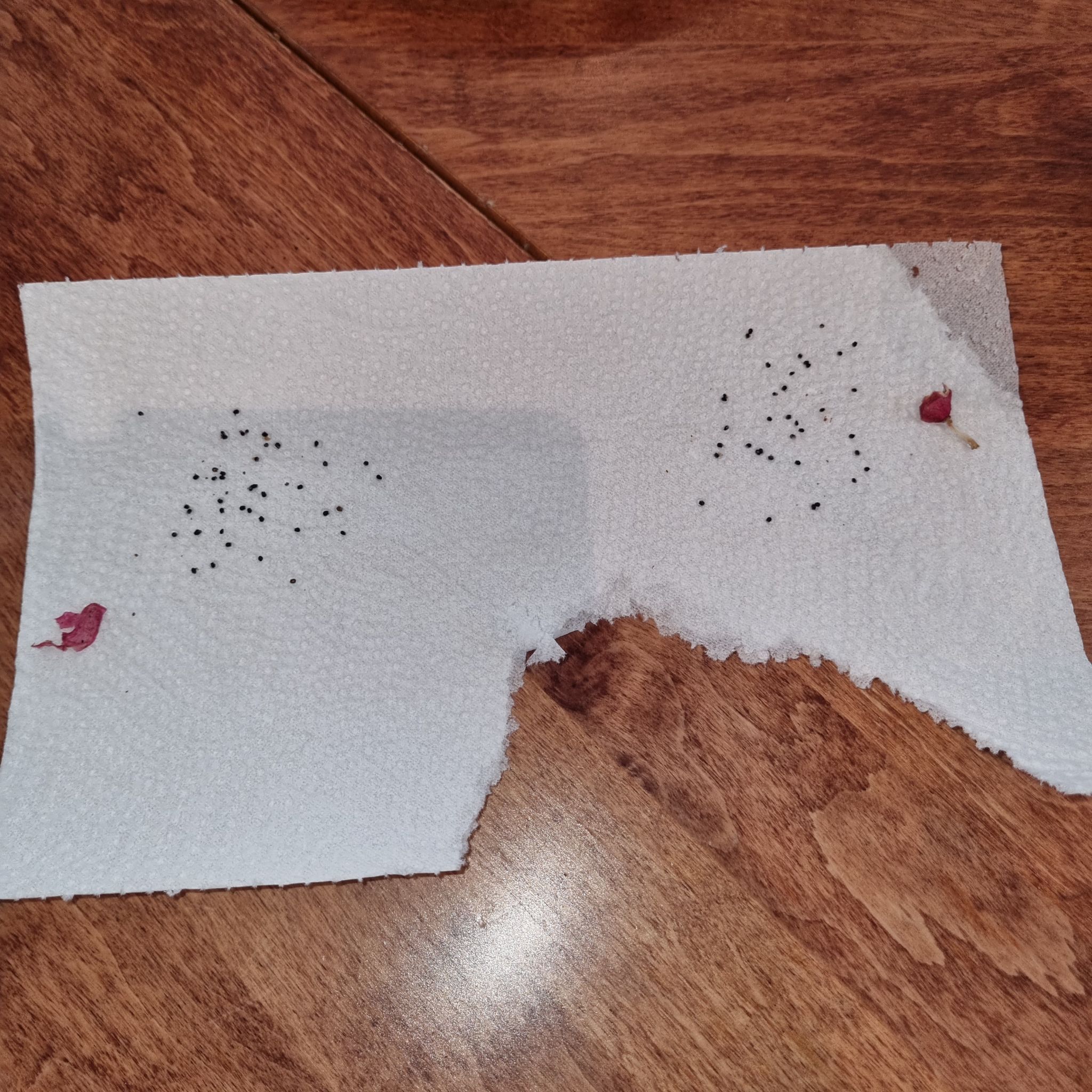 Photo from the post
