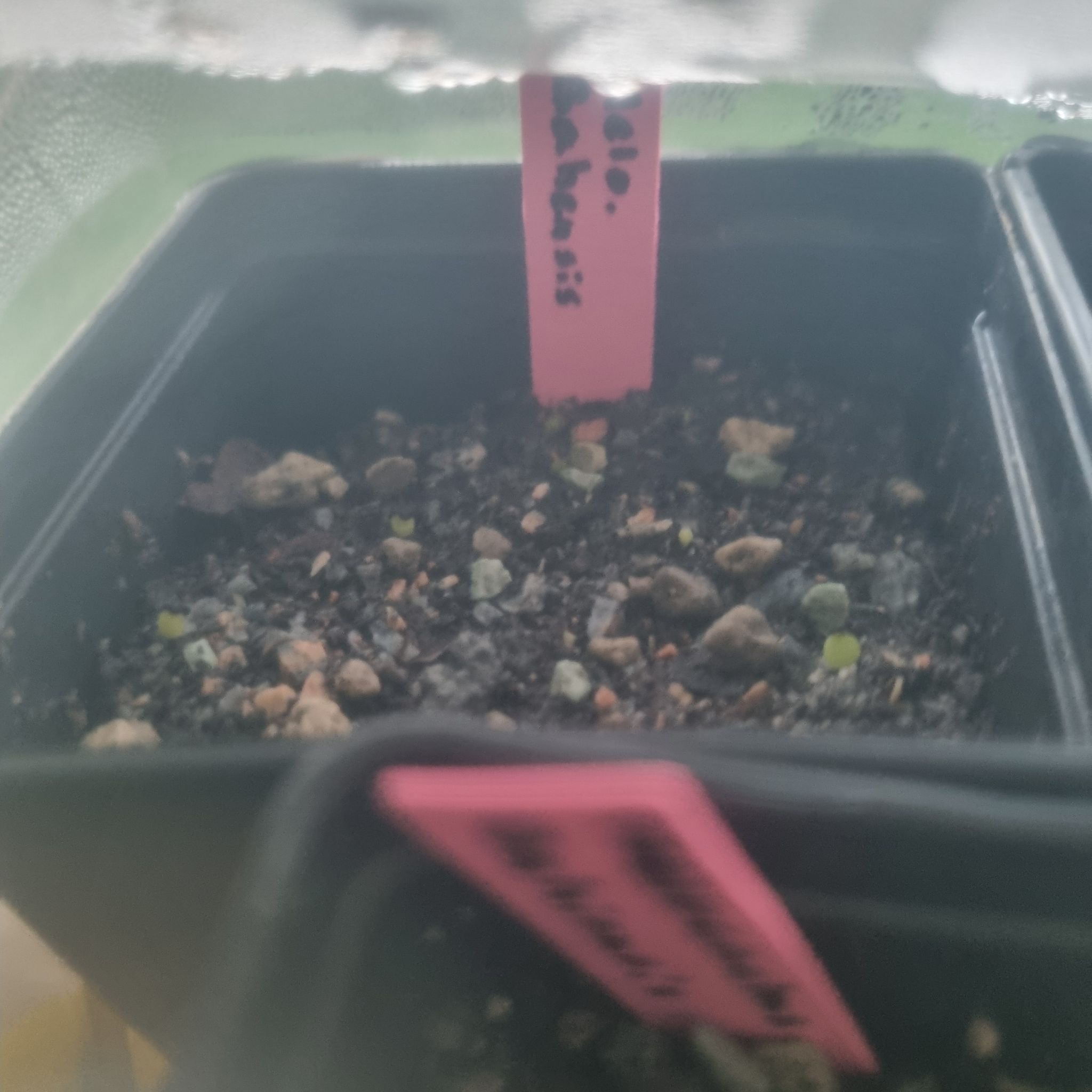 Photo from the post
