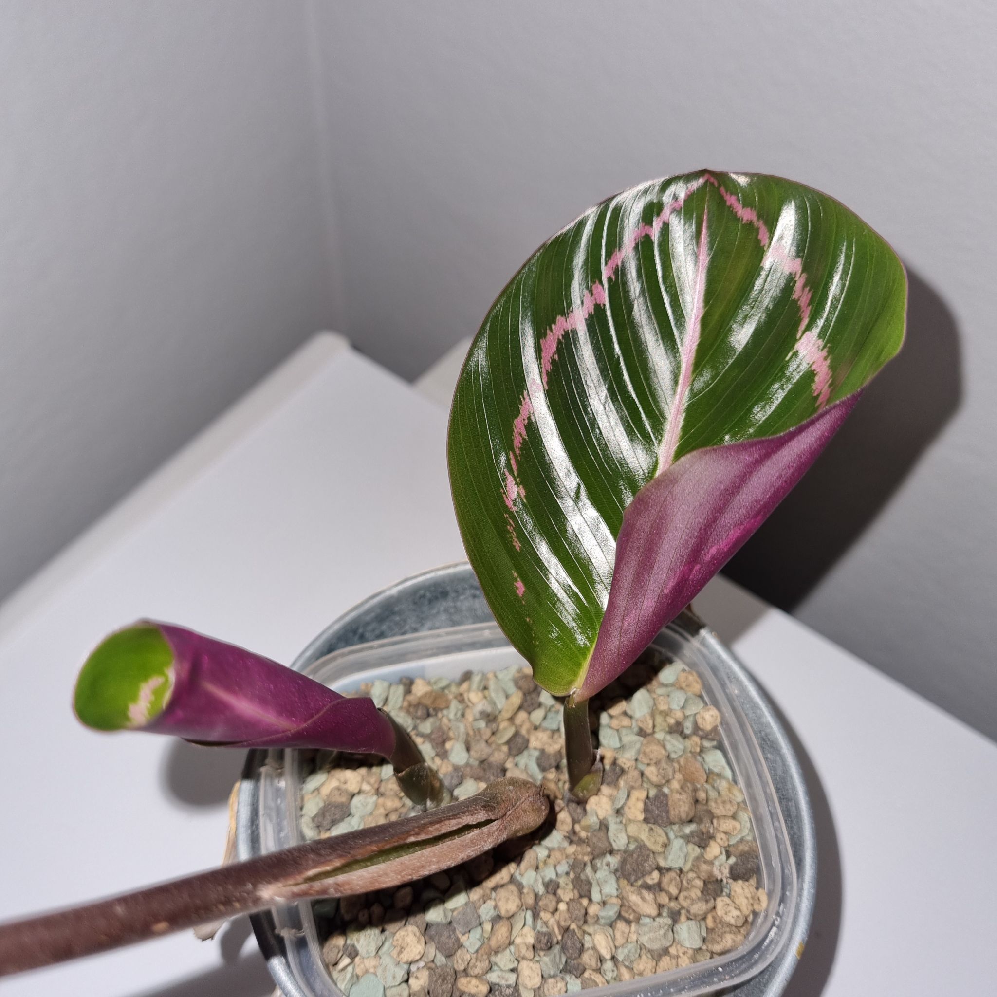 Photo from the post