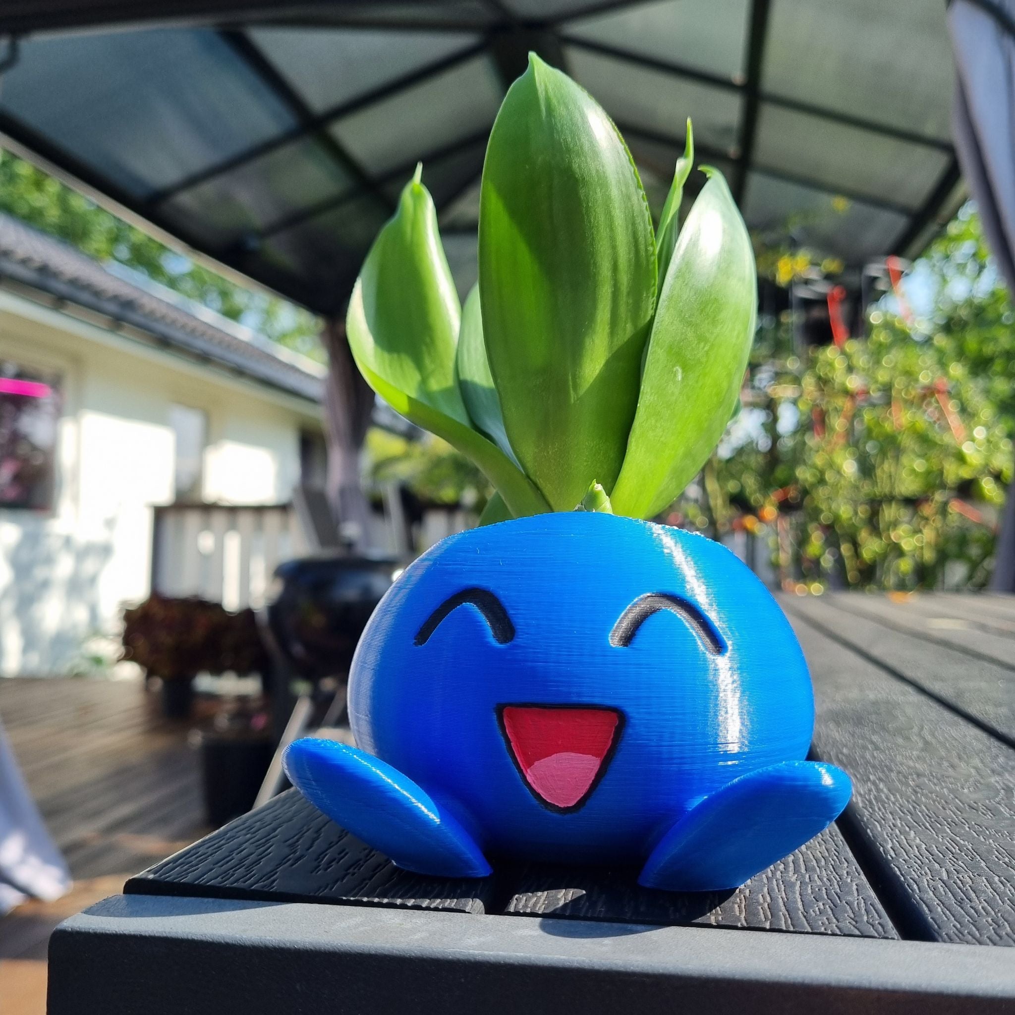 🐍 Why You Shouldn’t Eat Black Gold Snake Plant