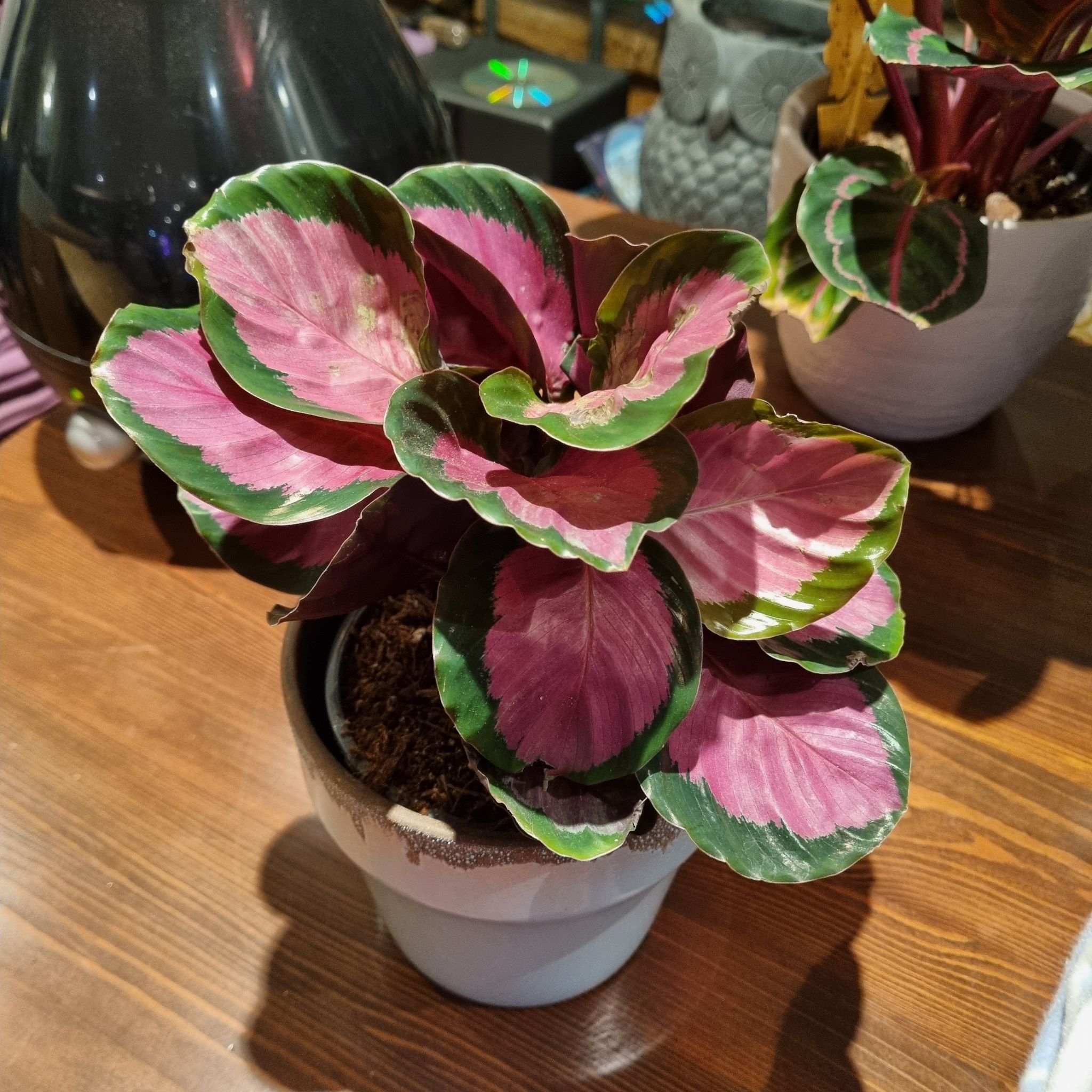 Photo from the post