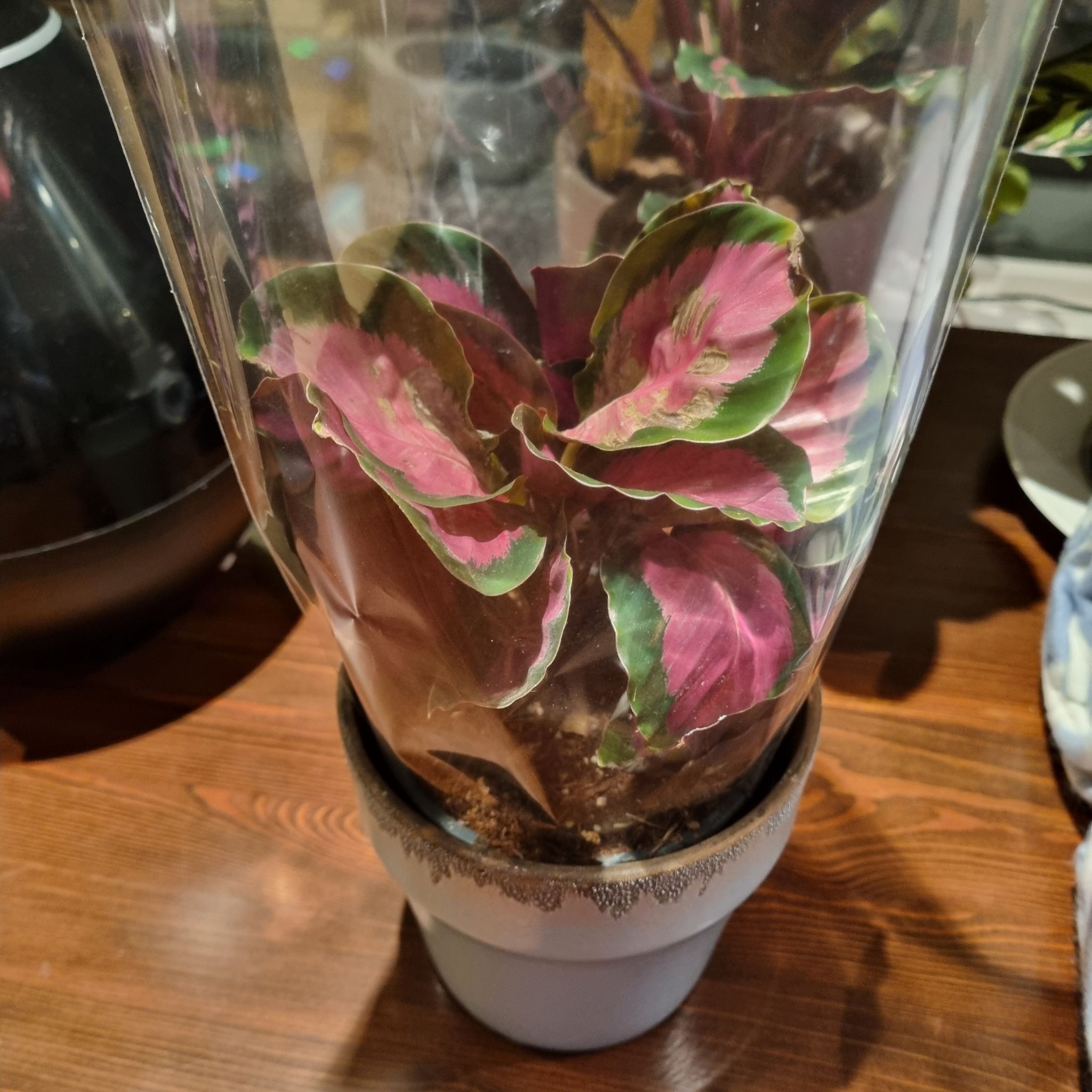 Photo from the post