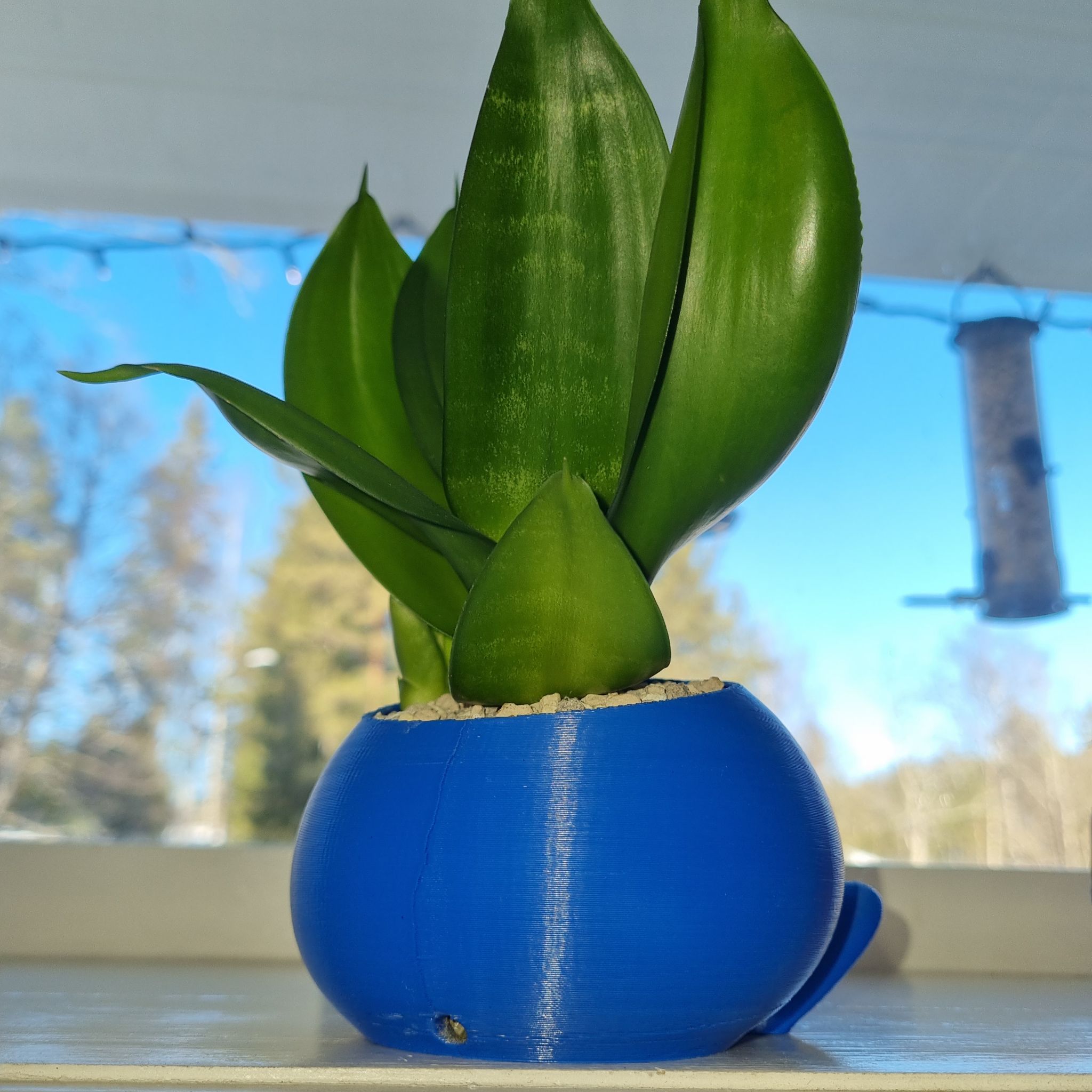 Photo from the post