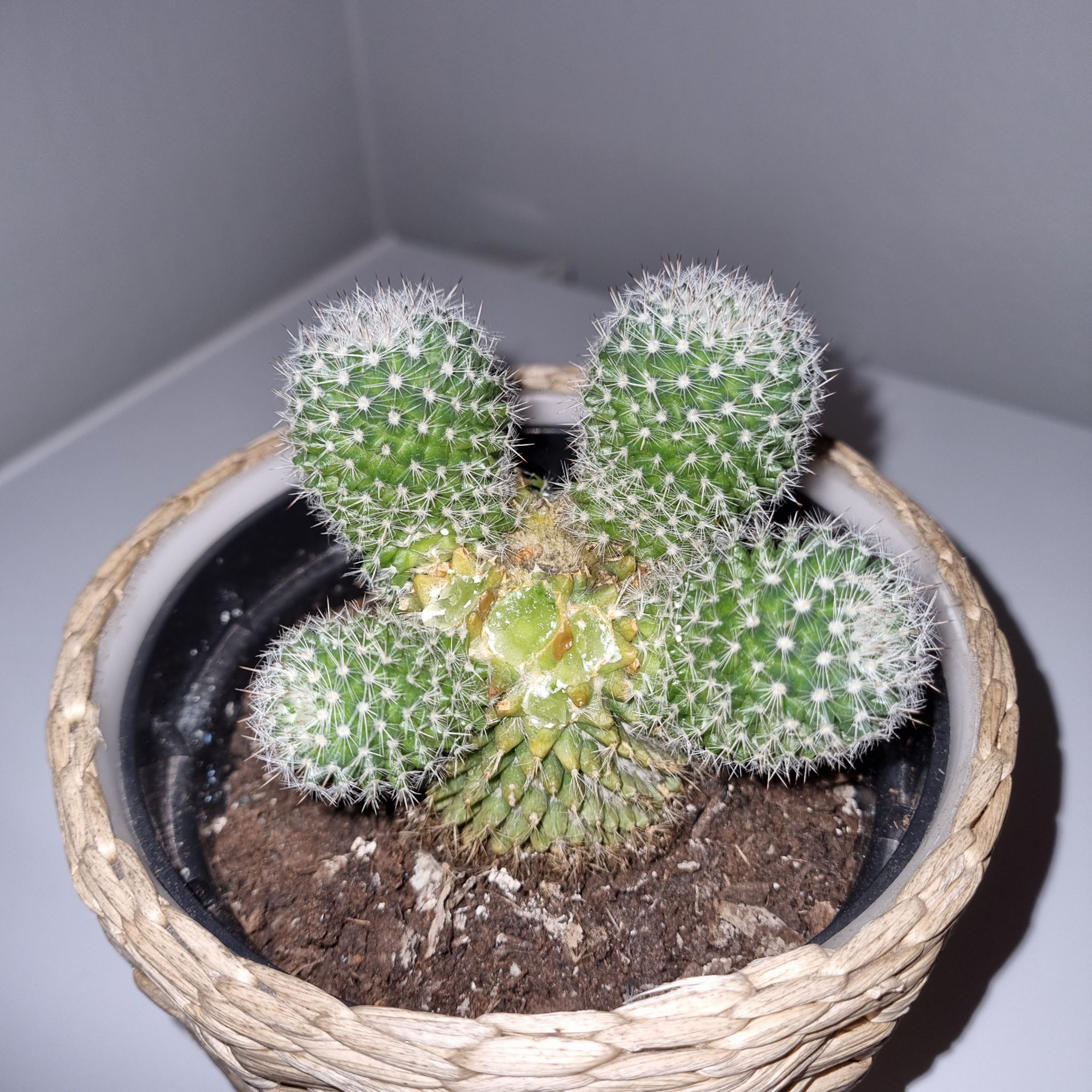 Photo from the post