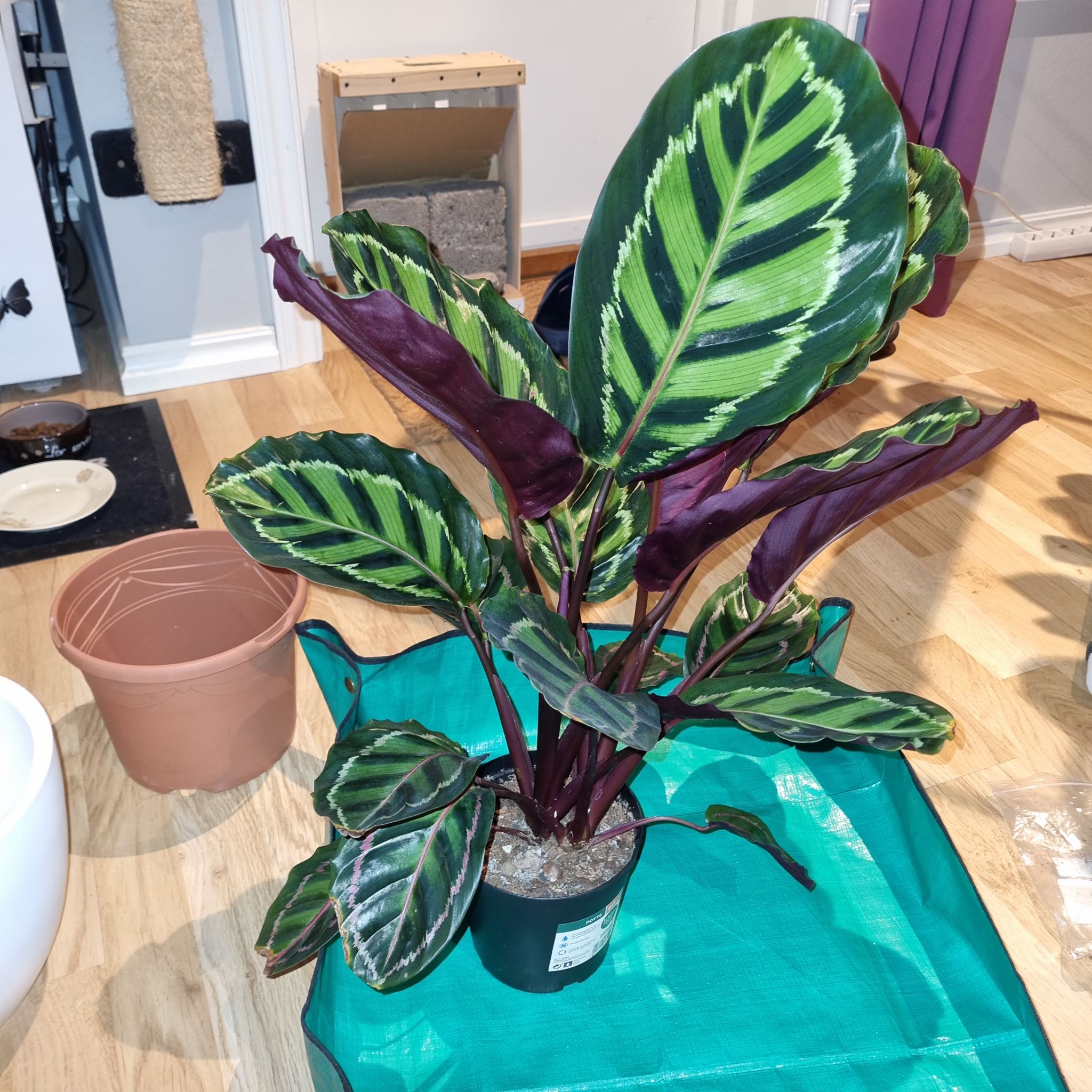 Photo from the post