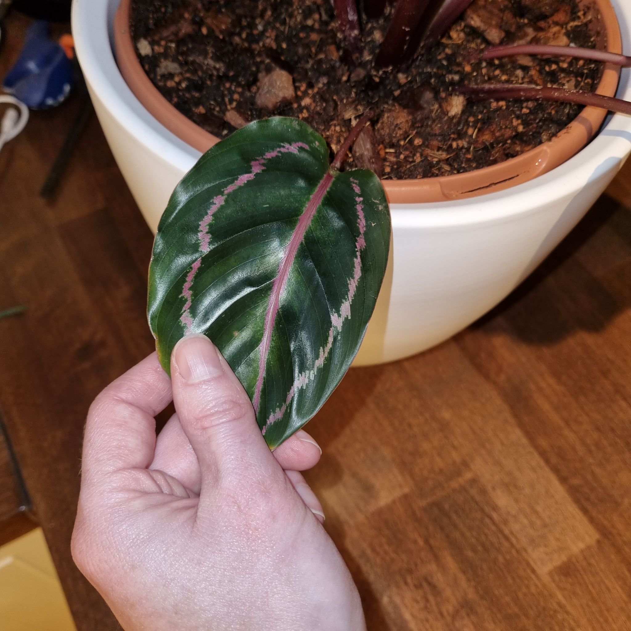 Photo from the post