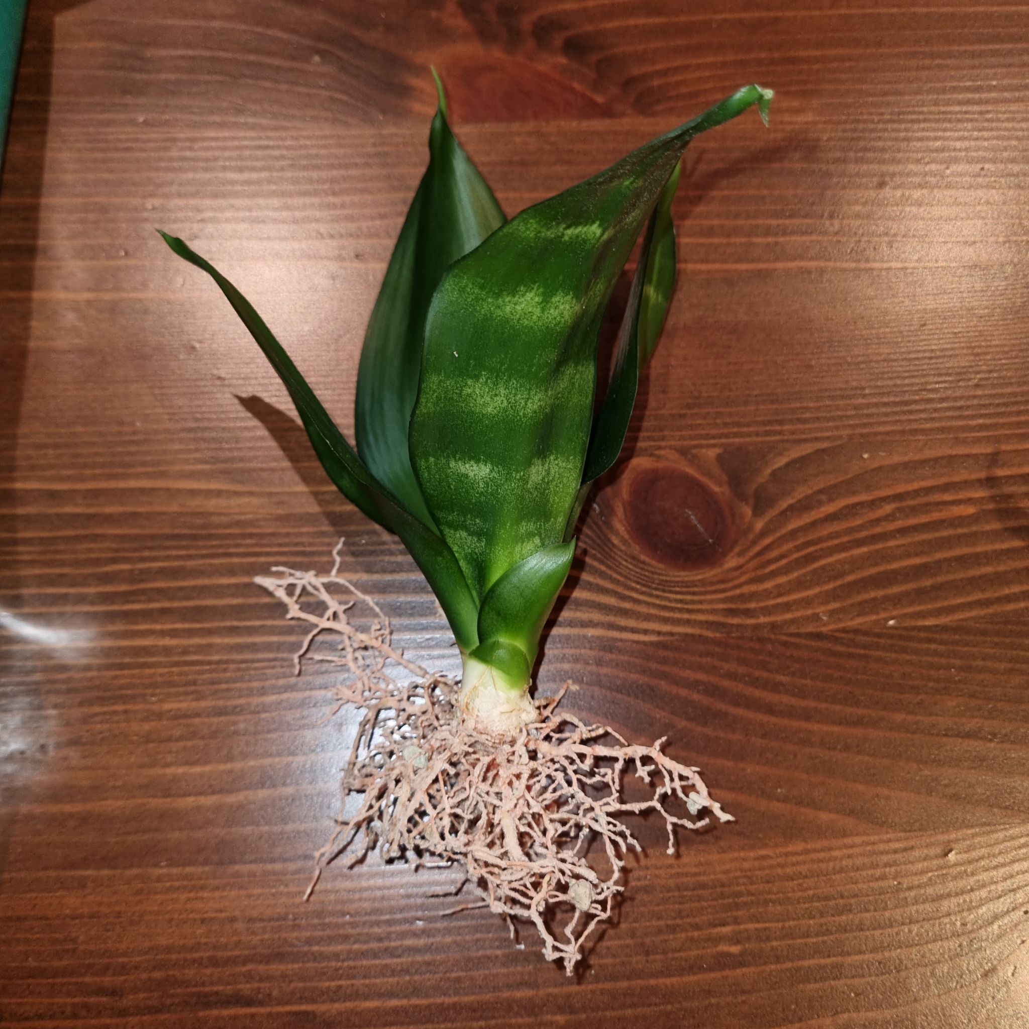 Photo from the post