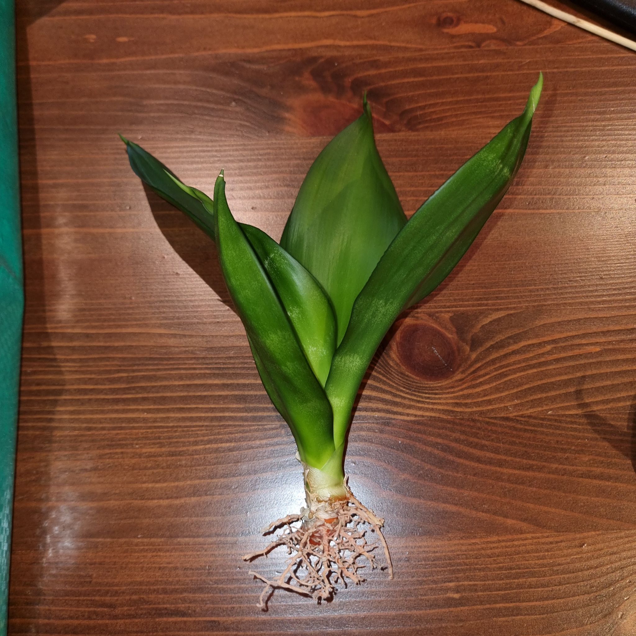 Photo from the post