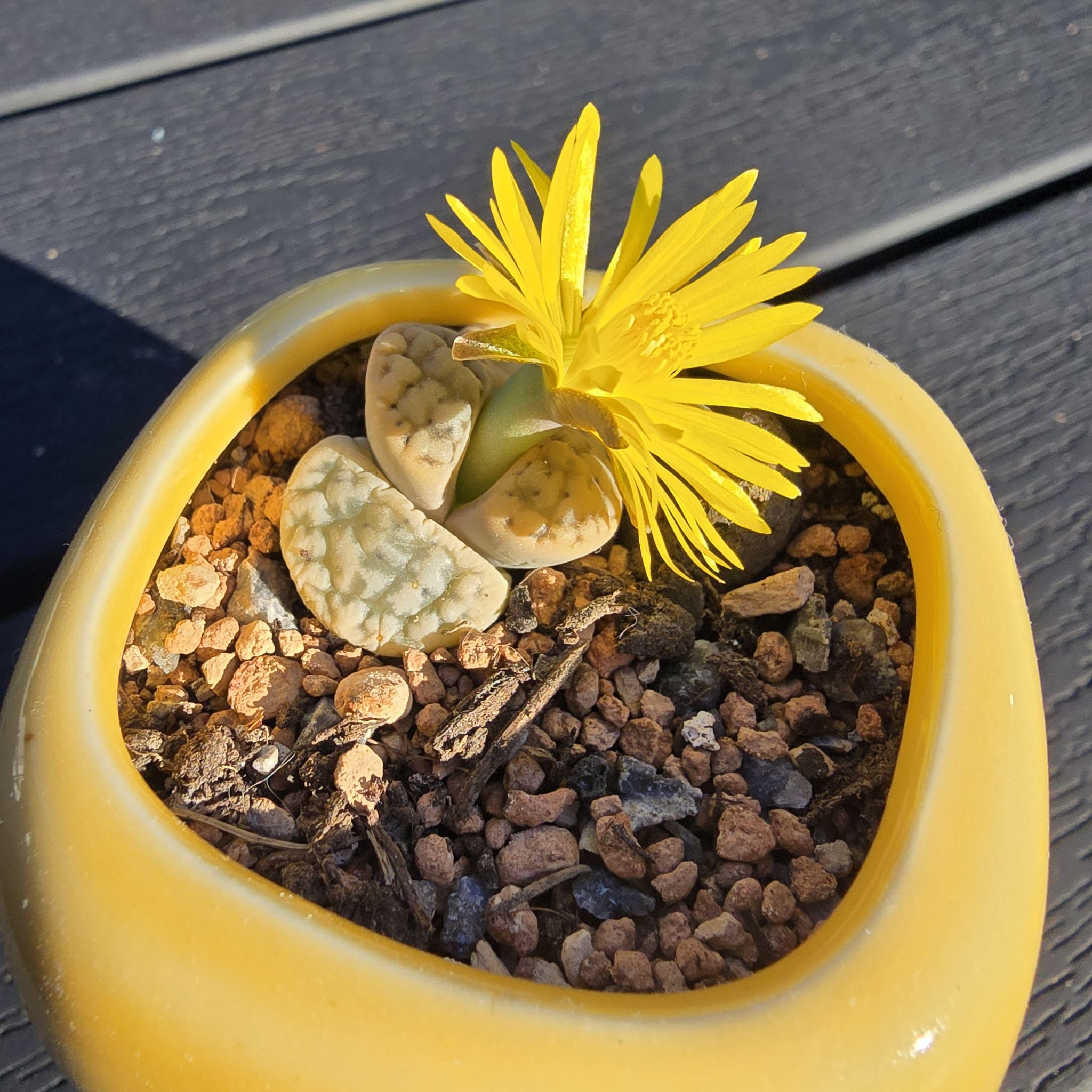Photo from the post