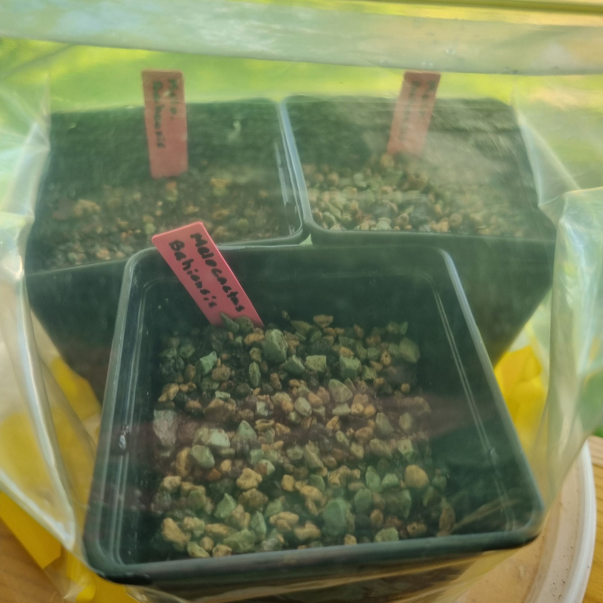 Photo from the post