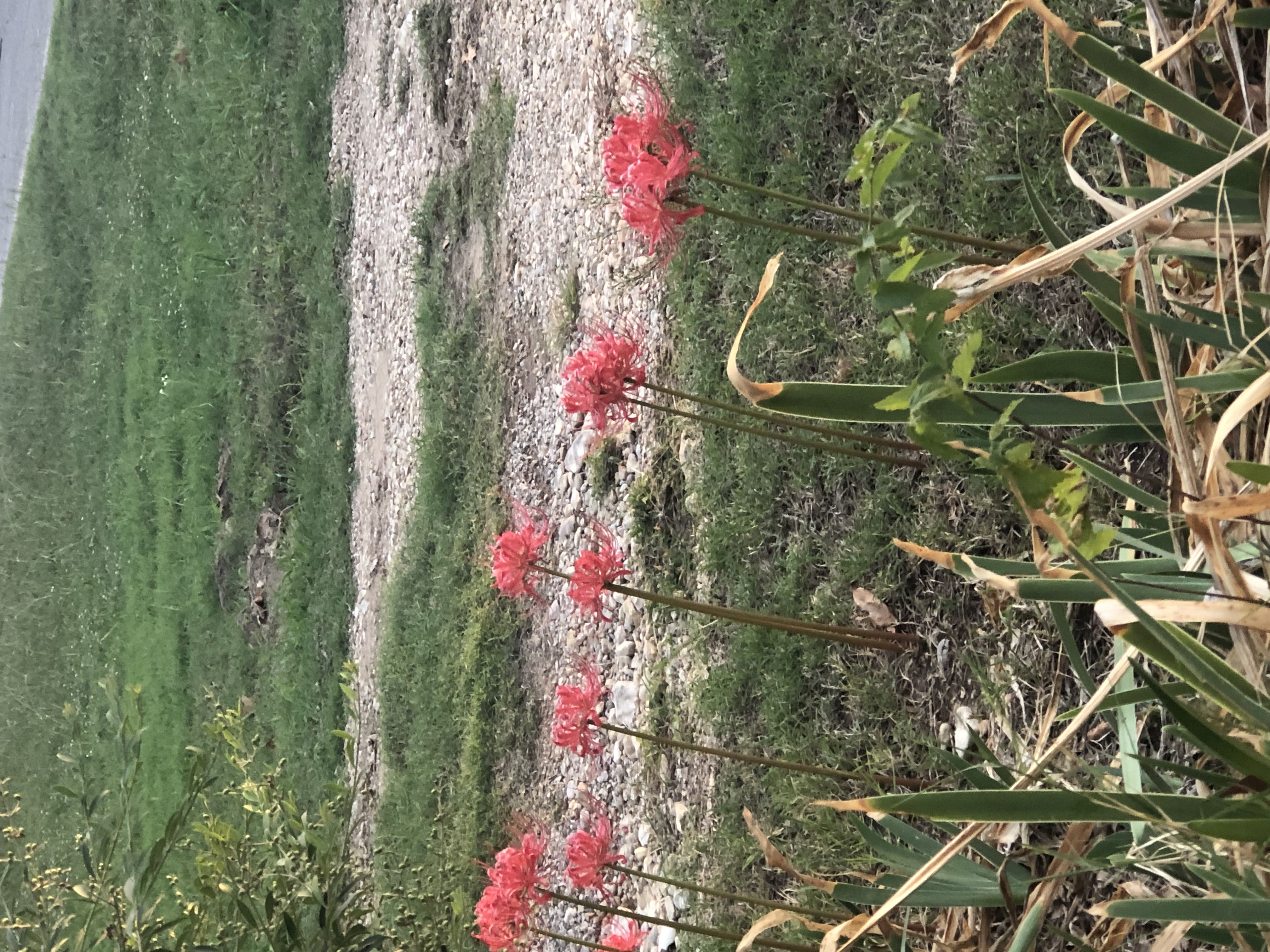 Photo from the post