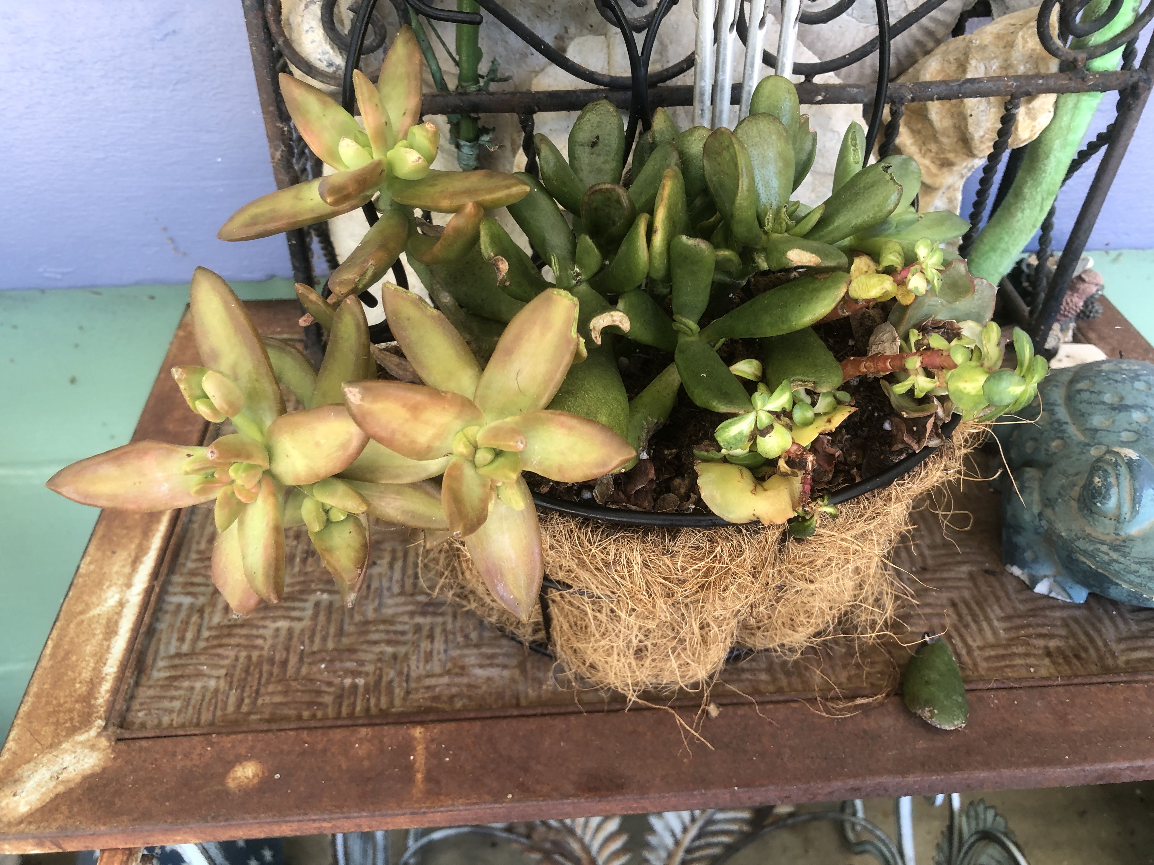 Photo from the post