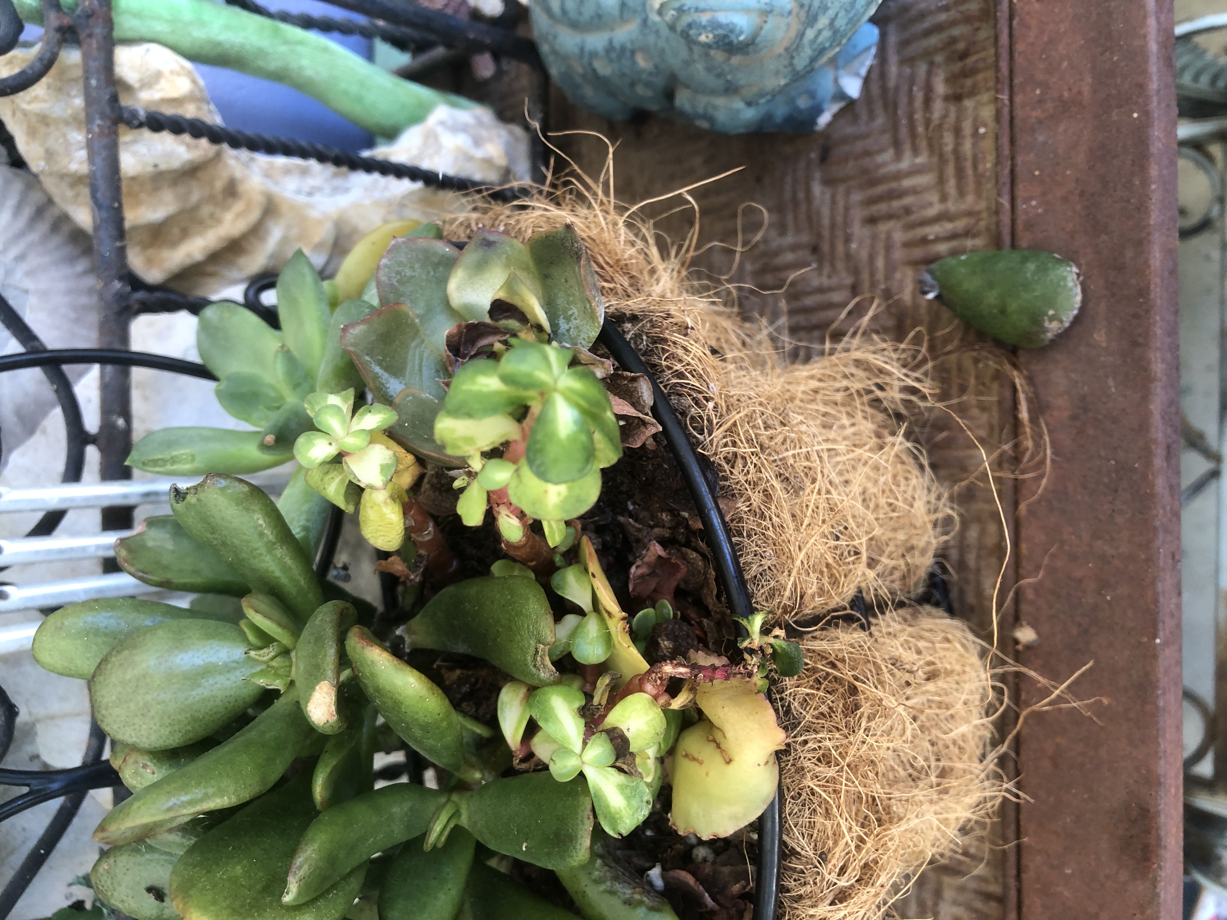 Photo from the post