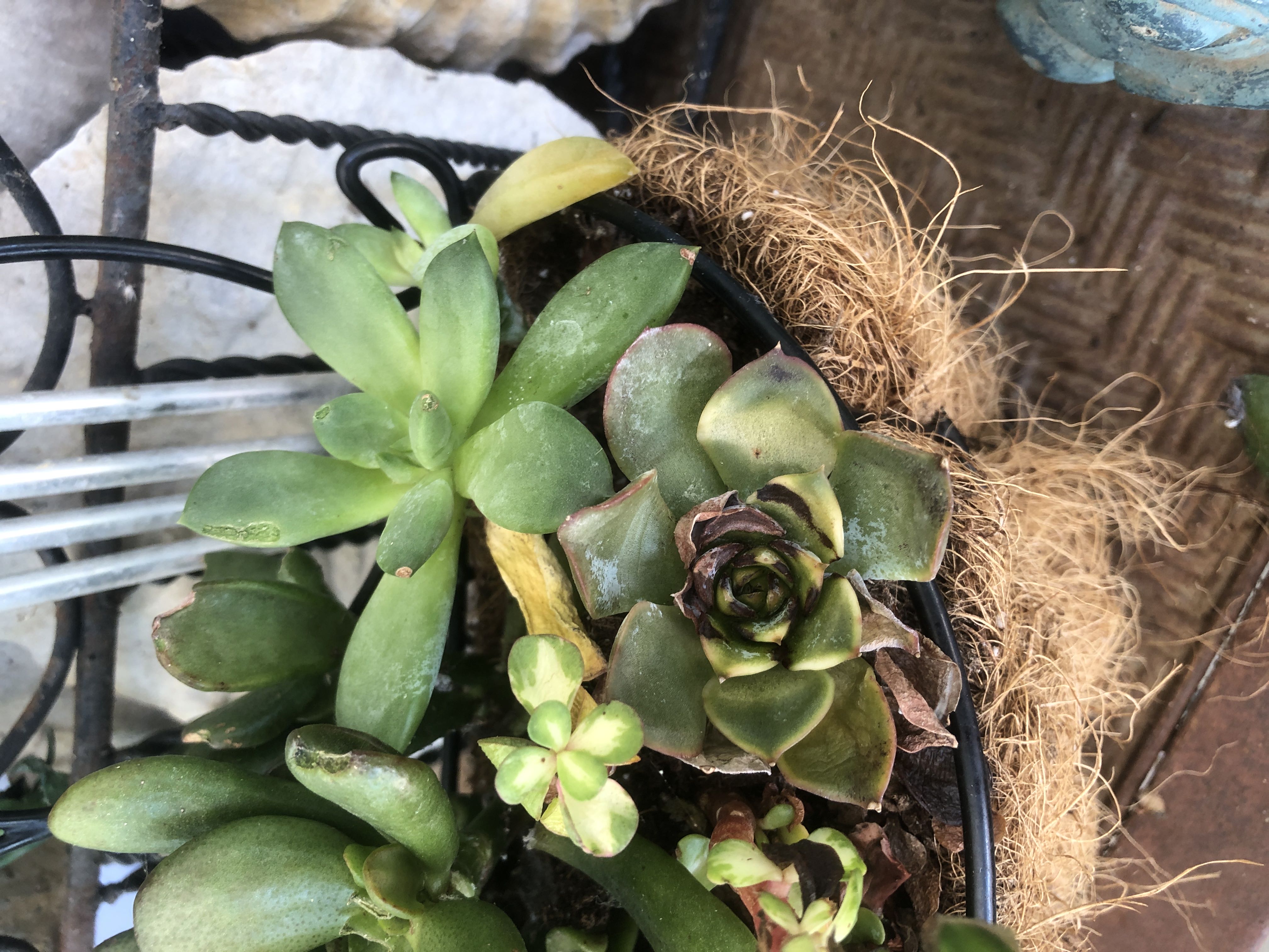 Photo from the post