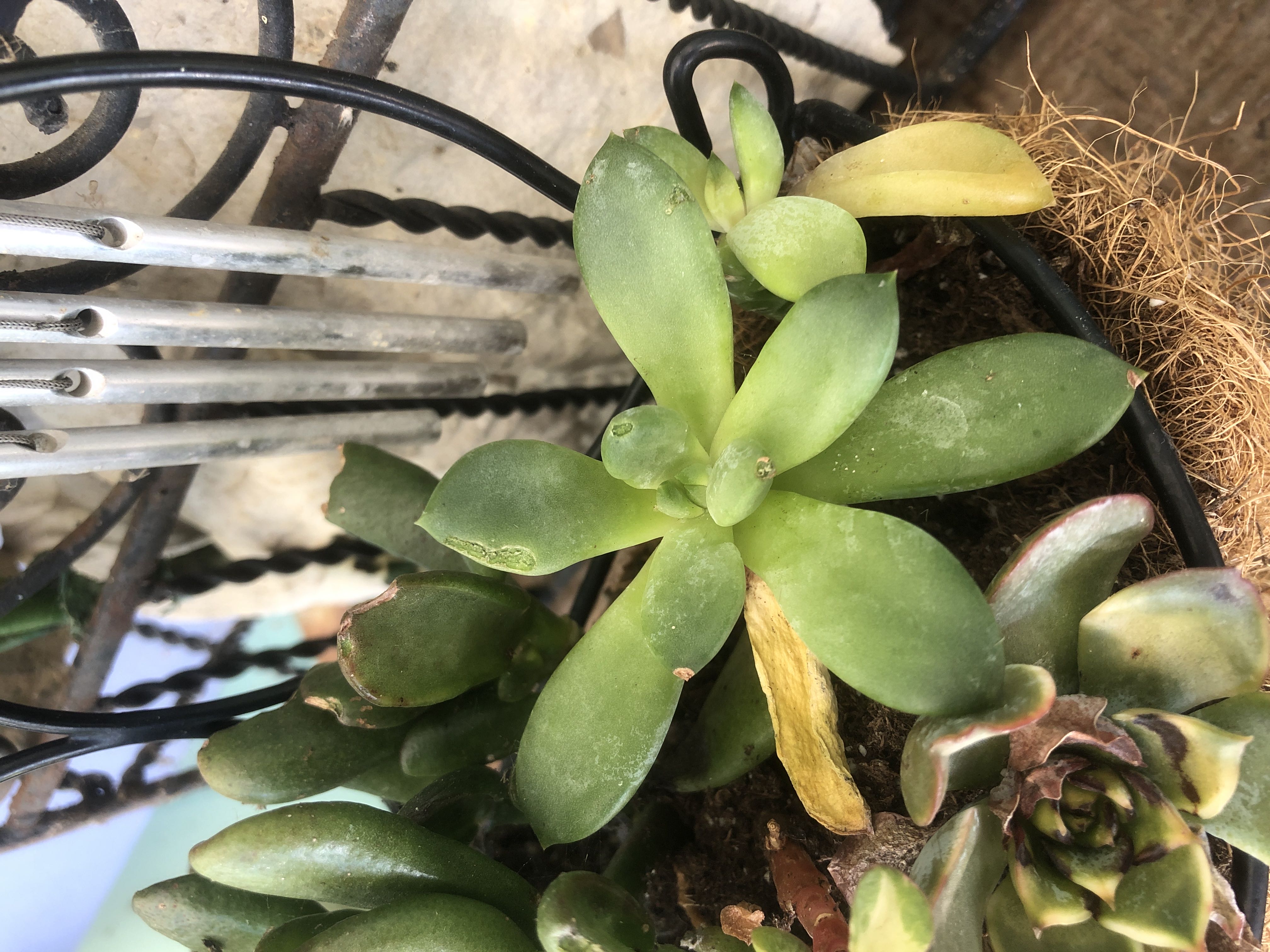Photo from the post