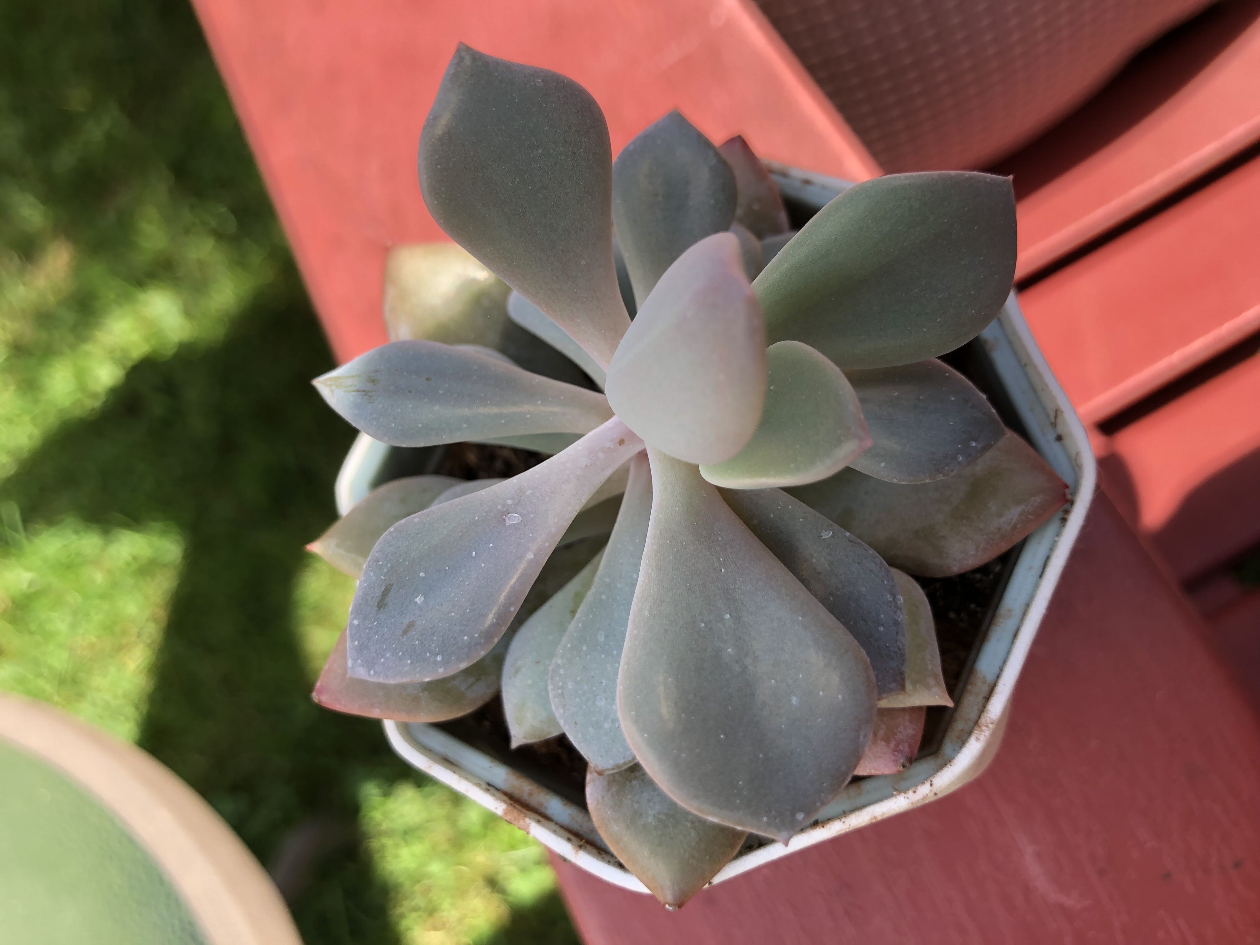 Photo from the post