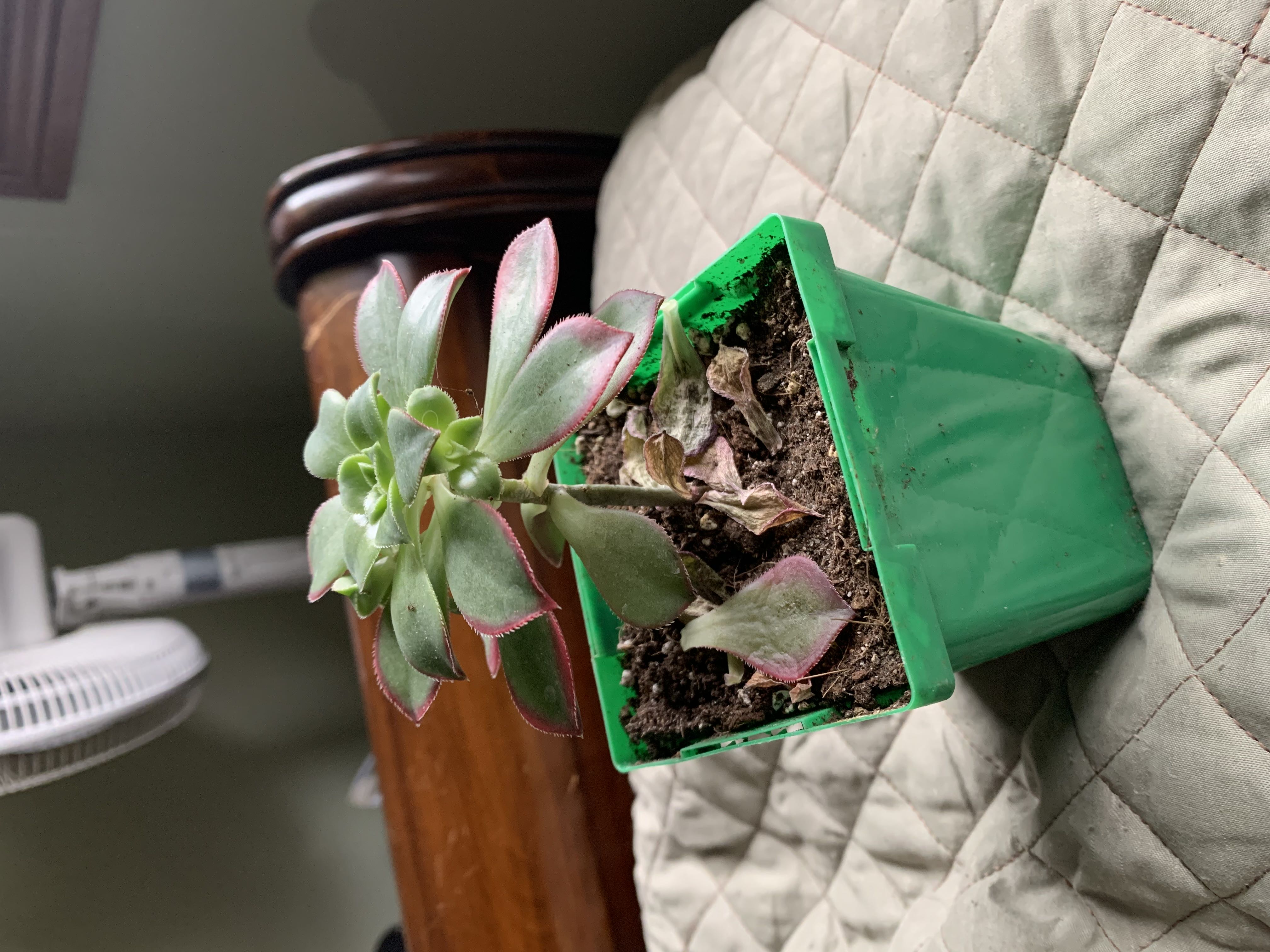 Photo from the post