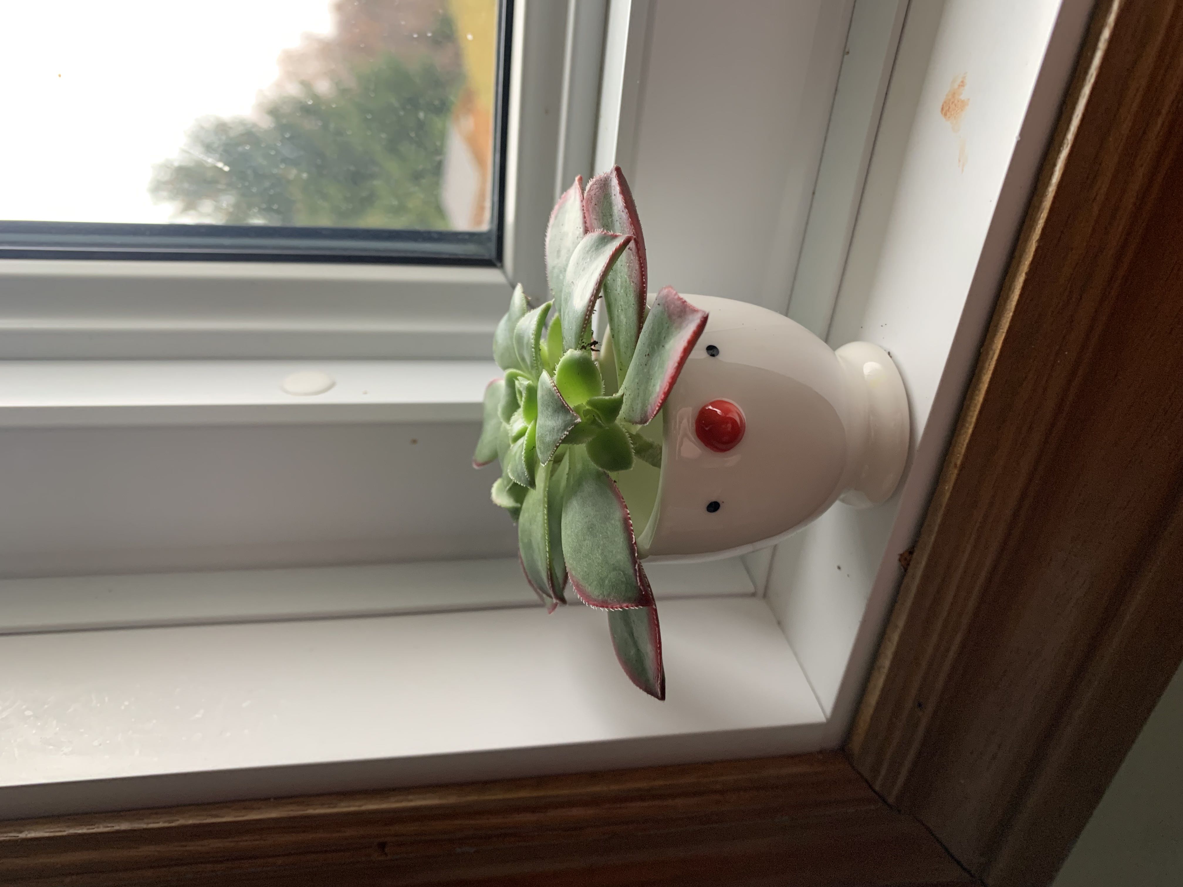 Photo from the post