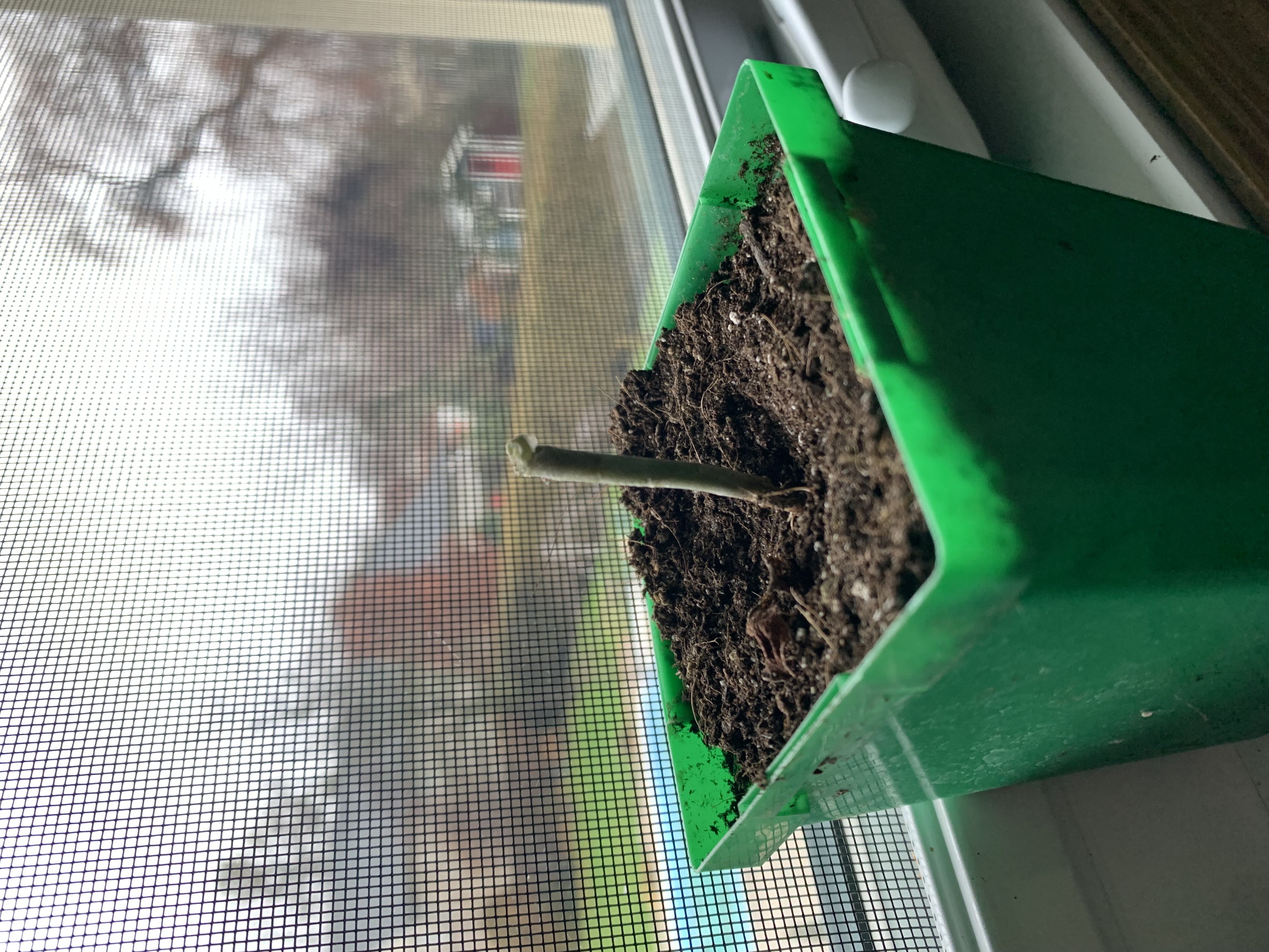 Photo from the post