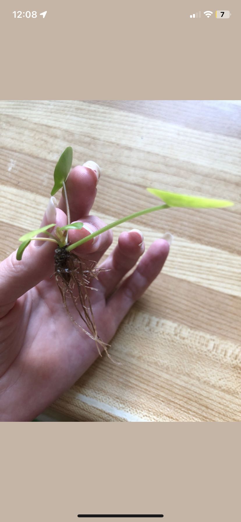 Photo from the post