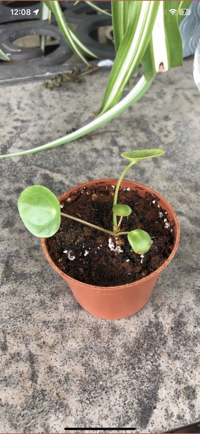 Photo from the post